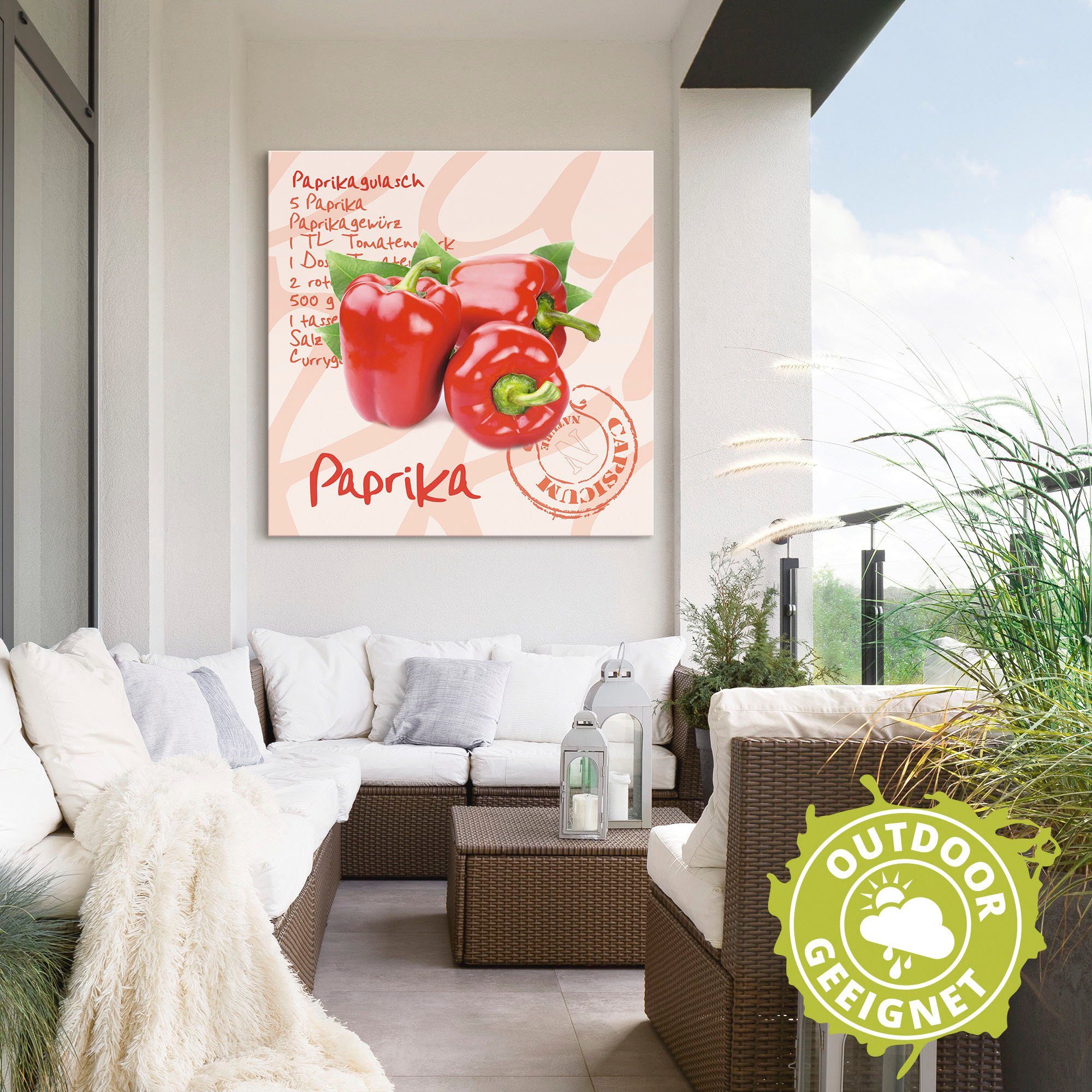 Artland Alu-Dibond-Druck Paprika liegt auf weißen Untergrund, Lebensmittel (1 St), für Innen- und Außenbereich geeignet, Outdoorbild