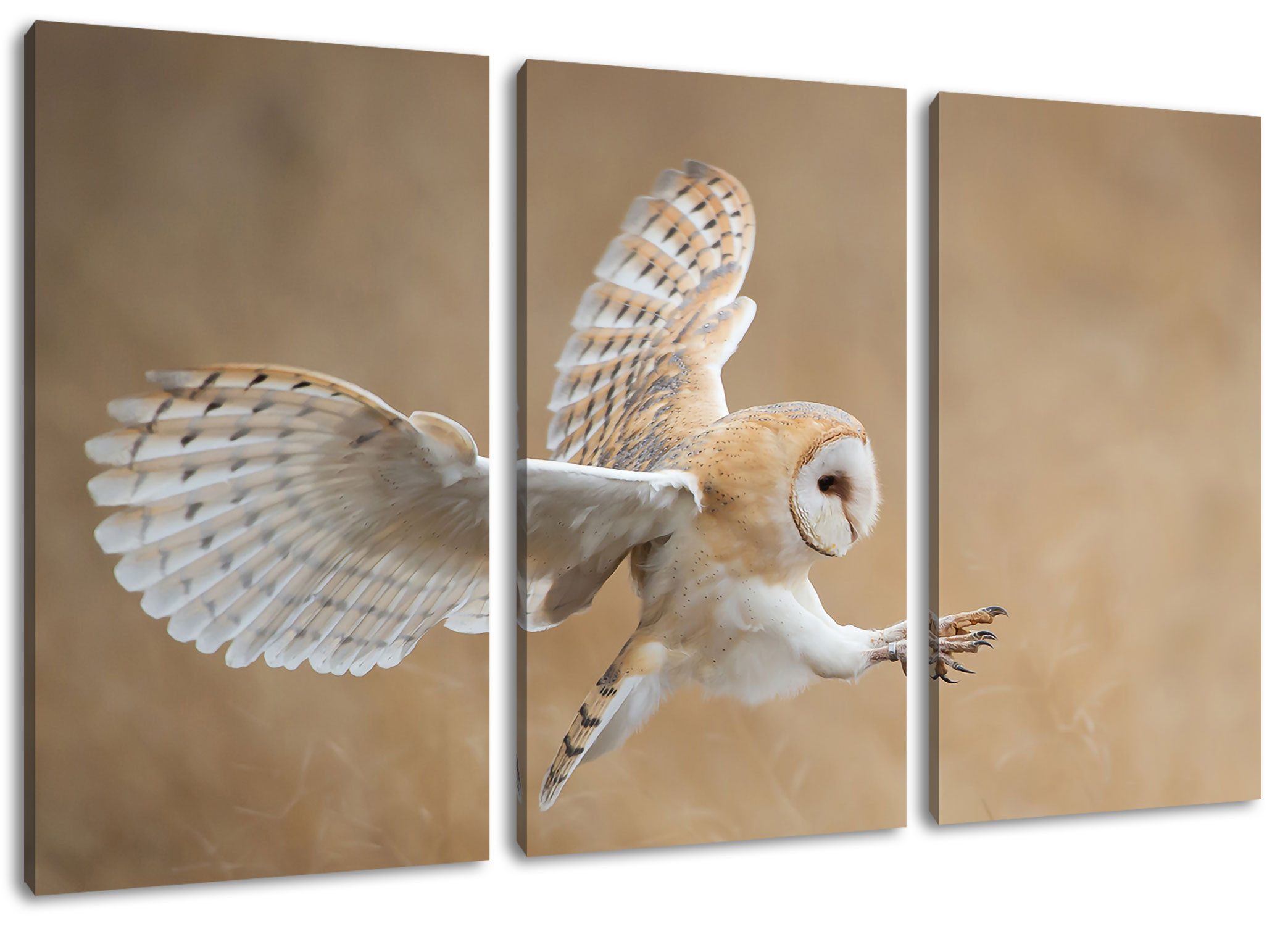 Pixxprint Leinwandbild Fliegende Weiße Eule bei der Jagd, Fliegende Weiße Eule bei der Jagd 3Teiler (120x80cm) (1 St), Leinwandbild fertig bespannt, inkl. Zackenaufhänger