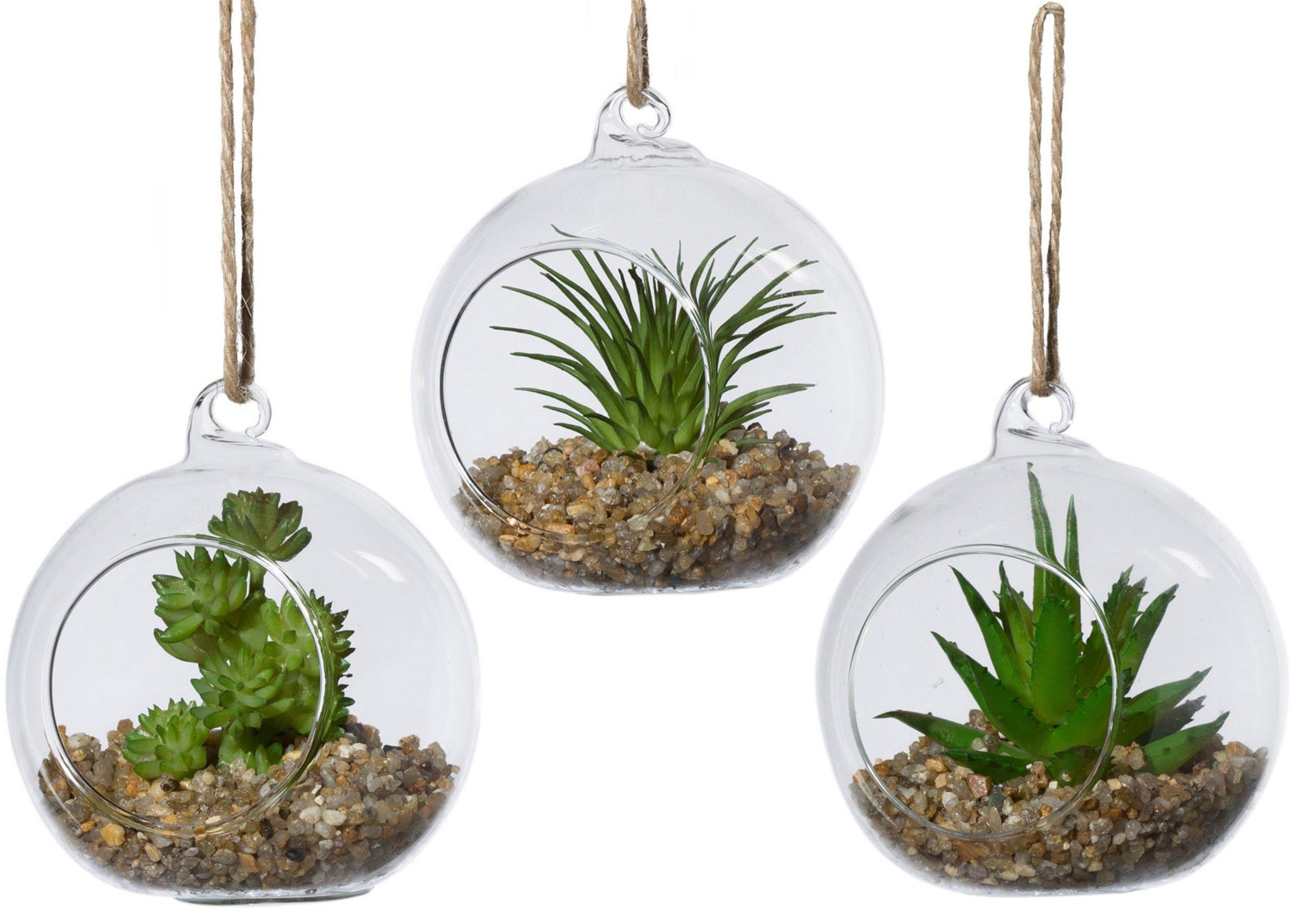 Kunstpflanze Sukkulenten Sukkulenten, Creativ green, Höhe 8 cm, im Set, im Glasgefäß