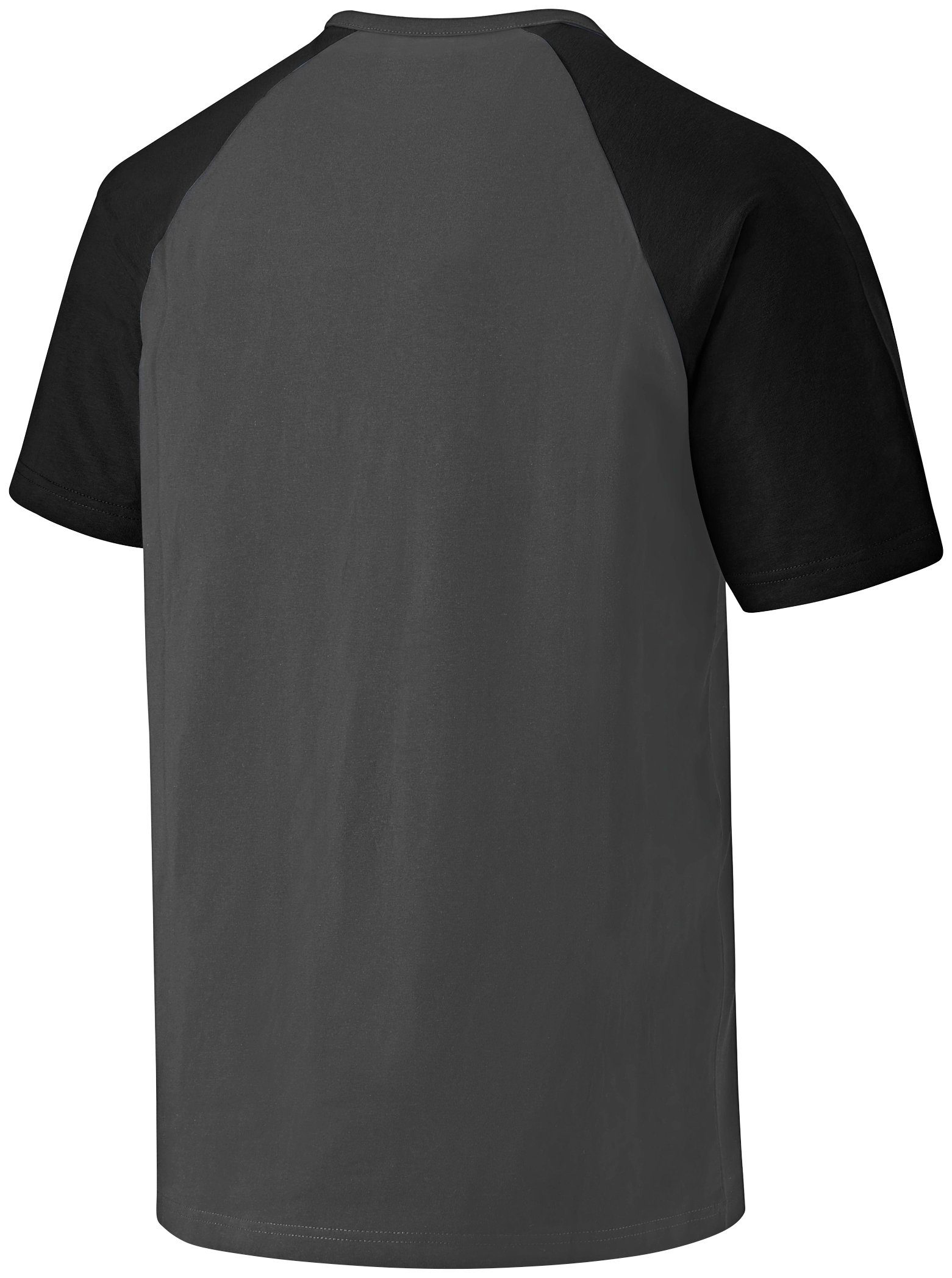Herren Shirts Dickies T-Shirt Gr. S - 3XL