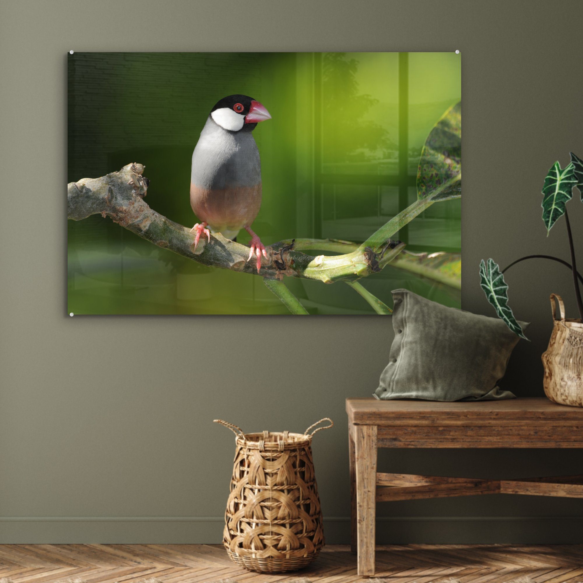 einem Ast MuchoWow Wohnzimmer auf eines St), (1 Plumaria-Baumes, & Acrylglasbild Reisvogel Schlafzimmer sitzt Acrylglasbilder