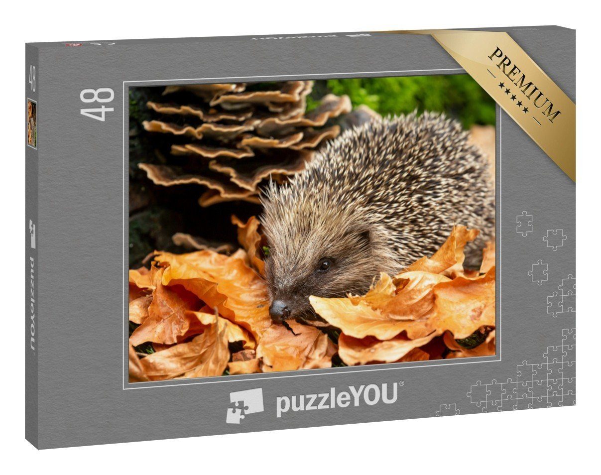 puzzleYOU Puzzle Süßer Igel im Herbstlaub, 48 Puzzleteile,  puzzleYOU-Kollektionen Igel, Tiere in Wald & Gebirge