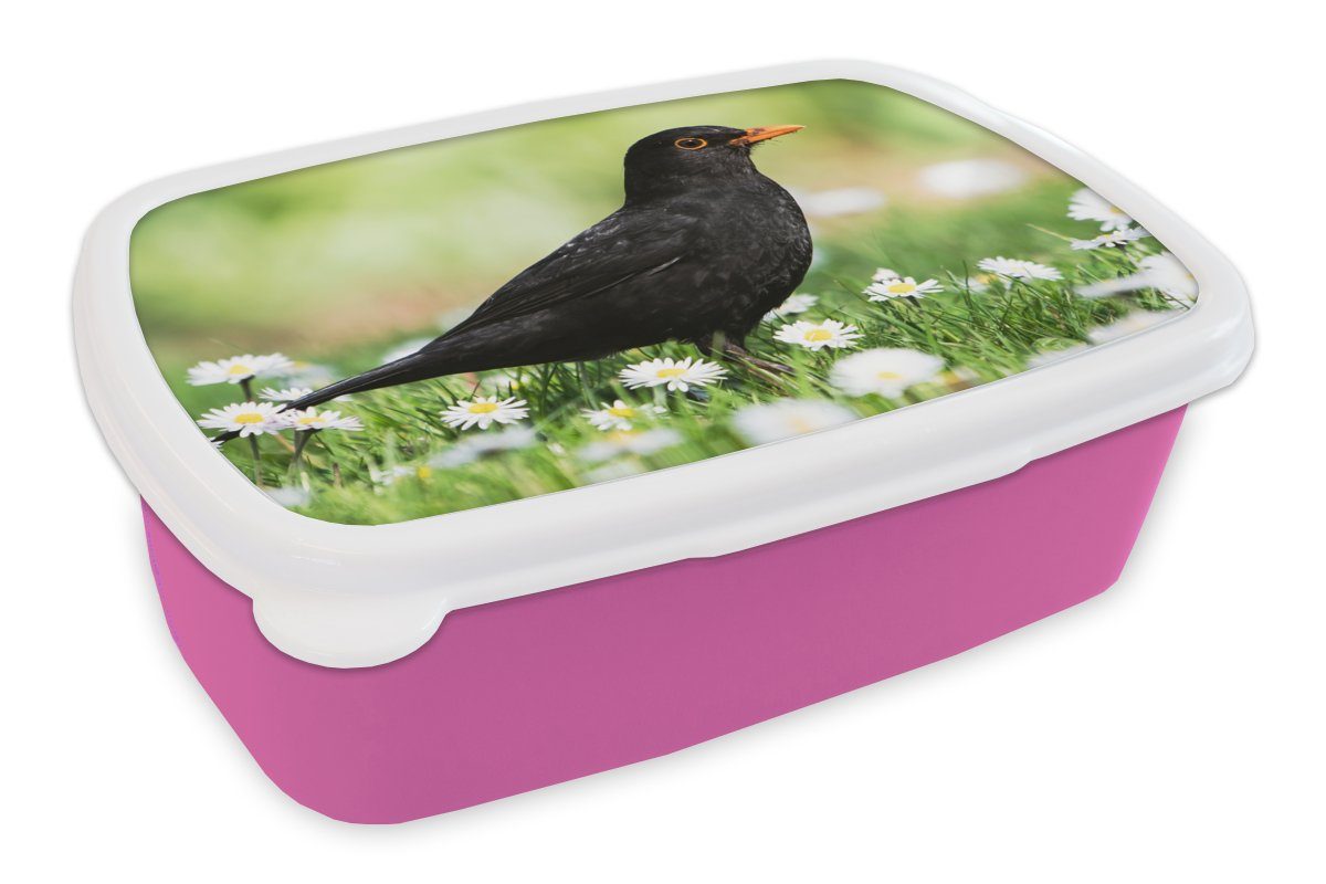 Erwachsene, - Snackbox, Brotdose Kinder, für Kunststoff Brotbox Blumen, (2-tlg), Mädchen, Vogel MuchoWow - Lunchbox Amsel Kunststoff, rosa