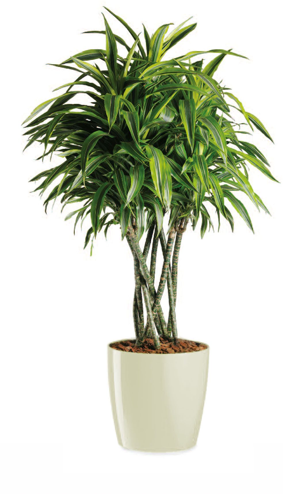 Floralo e. K. Blumentopf Kunststoff-Pflanztopf “Teramo” rund, rot hochglänzend