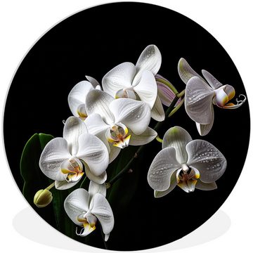 MuchoWow Gemälde Orchidee - Blumen - Weiß - Natur - Schwarz, (1 St), Kreis Wanddekoration Forex, Rundes Wandbild, Wohnzimmer, 30x30 cm