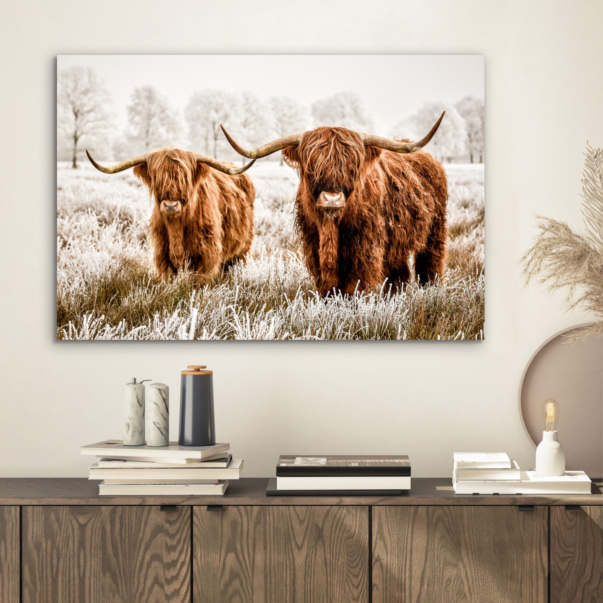 MuchoWow Metallbild Schottischer Hochländer - Kuh günstig online kaufen