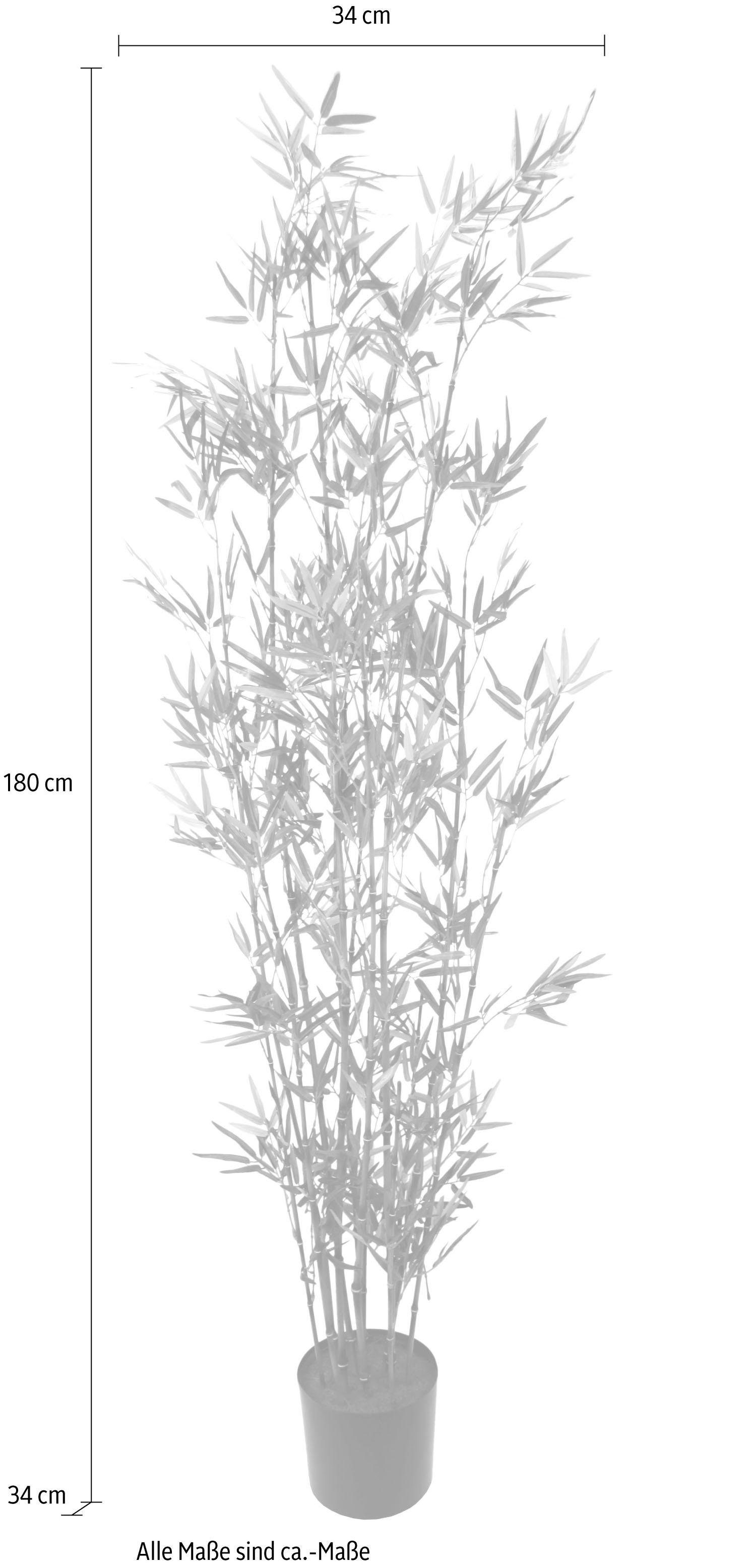 Kunstpflanze Bambus im Topf Bambus, I.GE.A., Höhe 180 cm | Kunstpflanzen