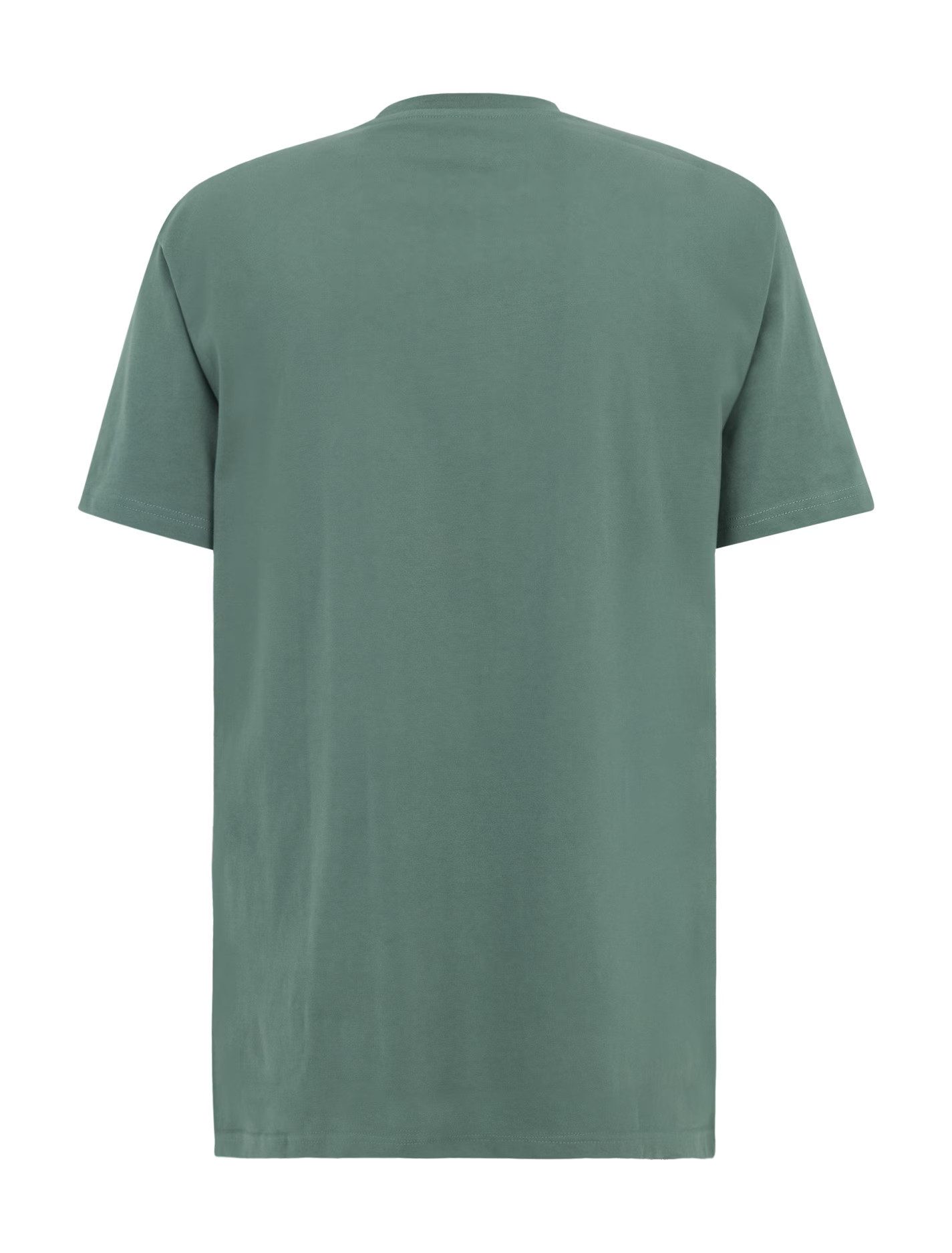 iriedaily Kurzarmshirt Chestflag Tee - T-Shirt Herren - Regular Fit - Basic Shirt - grün