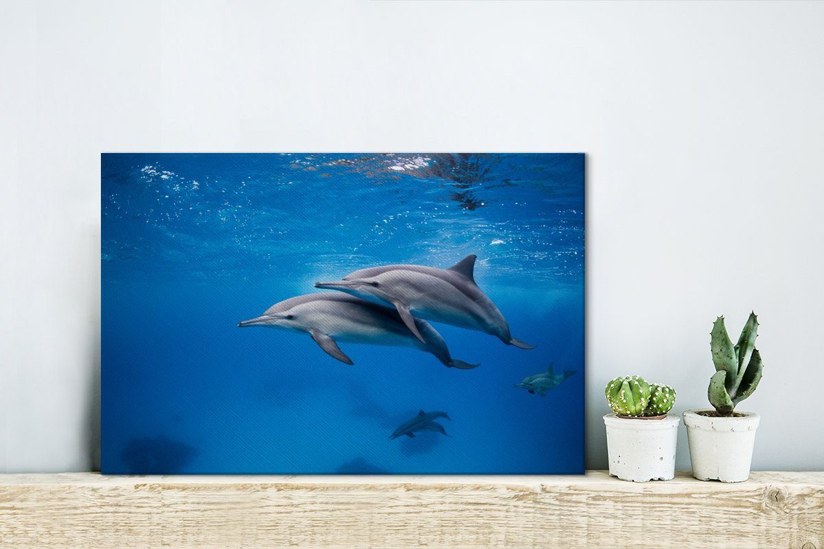 St), cm - 30x20 Delfin Wandbild Meer Leinwandbilder, OneMillionCanvasses® (1 Aufhängefertig, Ägypten, Leinwandbild - Wanddeko,