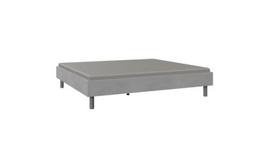 freiraum Bettgestell Easy Beds (BxHxT: 169x38x210 cm), in Beton