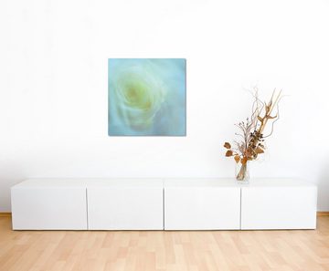 Sinus Art Leinwandbild Naturfotografie – Weiße Rose auf Leinwand