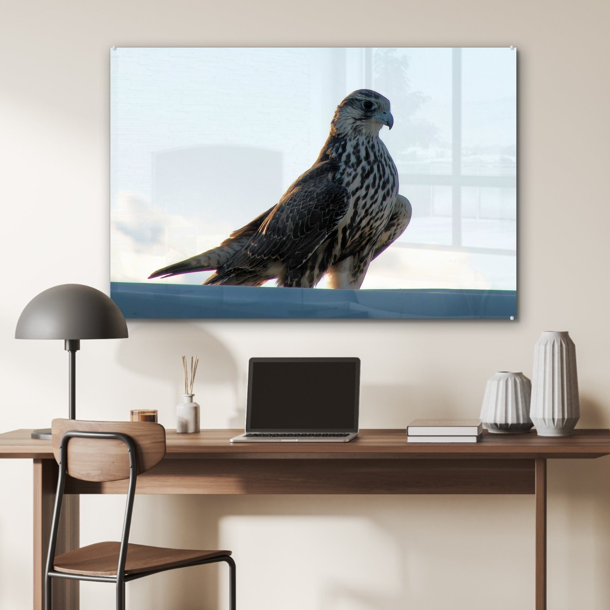 (1 Acrylglasbilder & - MuchoWow Falke St), Wohnzimmer - Acrylglasbild Vogel, Portugal Schlafzimmer