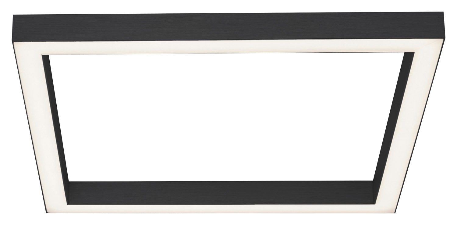Paul Neuhaus LED Deckenleuchte PURE LINES, B 55 x T 55 cm, 1-flammig, Anthrazit, LED fest integriert, Neutralweiß, Warmweiß, Weiß, Metall, Kunststoff, mit Fernbedienung