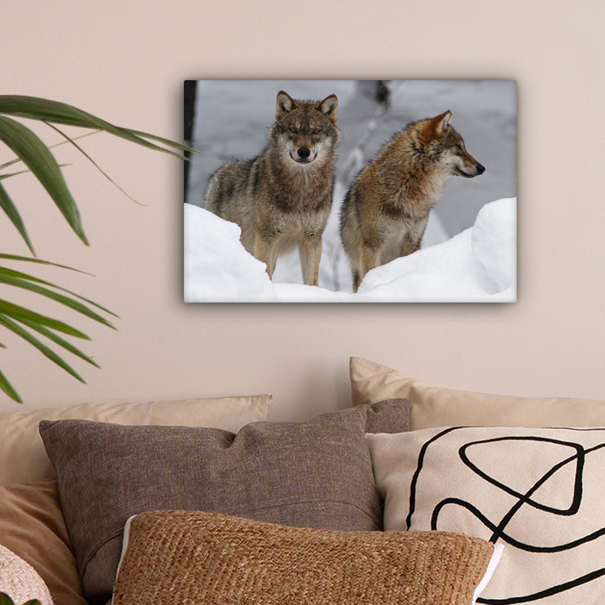 - OneMillionCanvasses® Wandbild - cm Wanddeko, Wolf 30x20 Aufhängefertig, Leinwandbilder, (1 Leinwandbild Tiere, St), Schnee