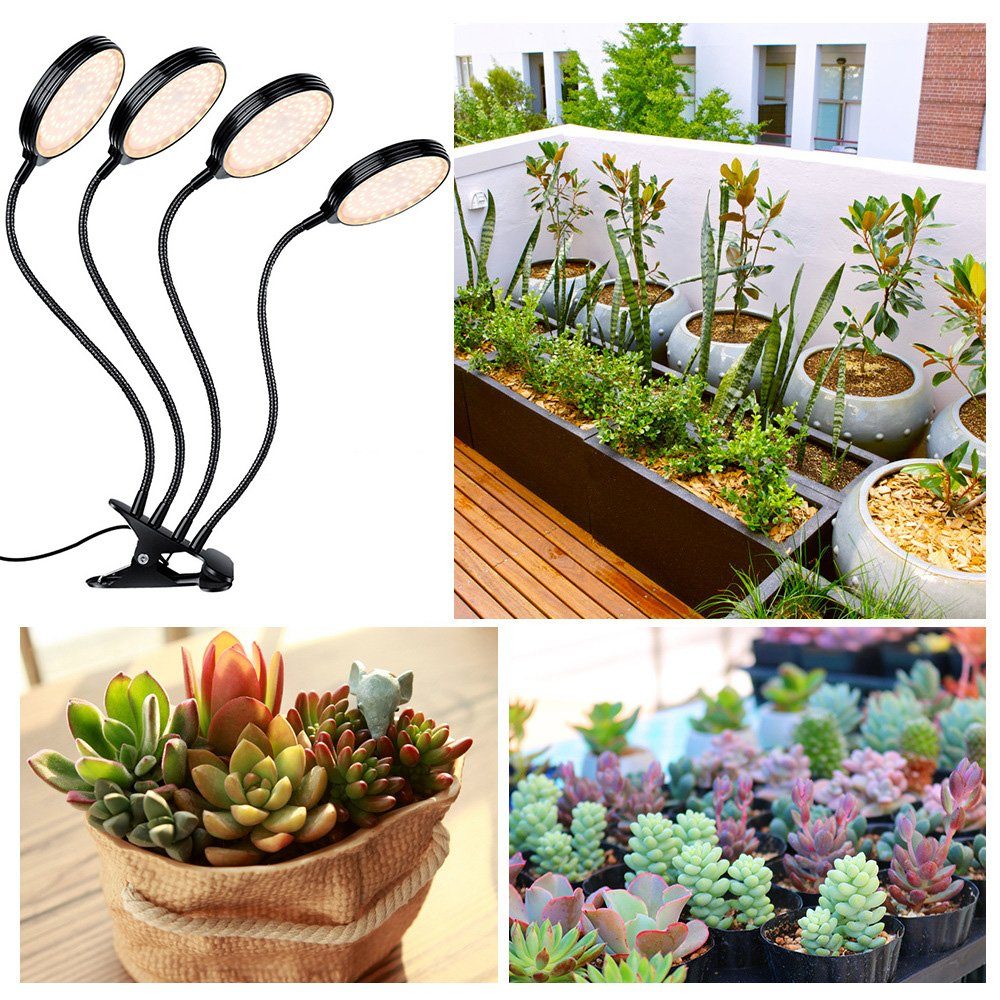 Rosnek Pflanzenlampe 1/2/3/4 Köpfe, dimmbar, ein Clip, Timer, für Zimmerpflanzen, Sonnenähnliches Sonnenlicht Vollspektrum (4000K), sonnenähnliches Vollspektrum