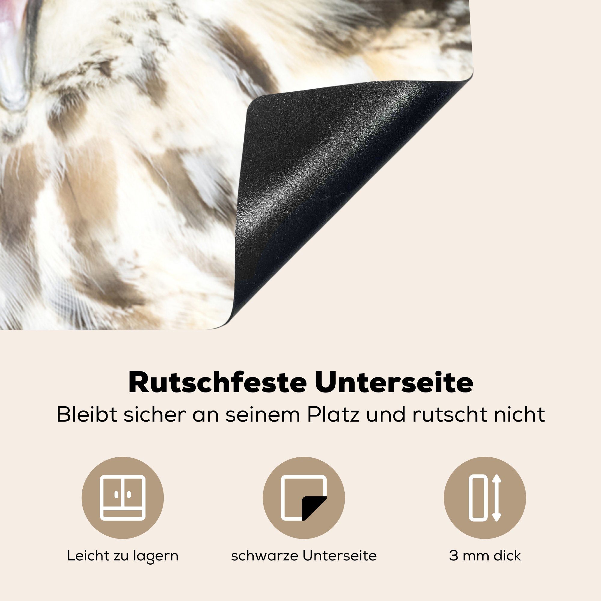 Eule tlg), Arbeitsplatte Herdblende-/Abdeckplatte MuchoWow Ceranfeldabdeckung, cm, Zwinker küche Vogel, - Vinyl, 78x78 (1 - für