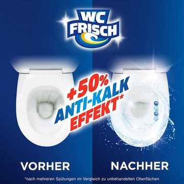 WC Frisch Kraft Aktiv Duftspüler Frische Brise WC-Reiniger (Doppelpack, [2-St. Duftsteine für langanhaltend frischen Duft)