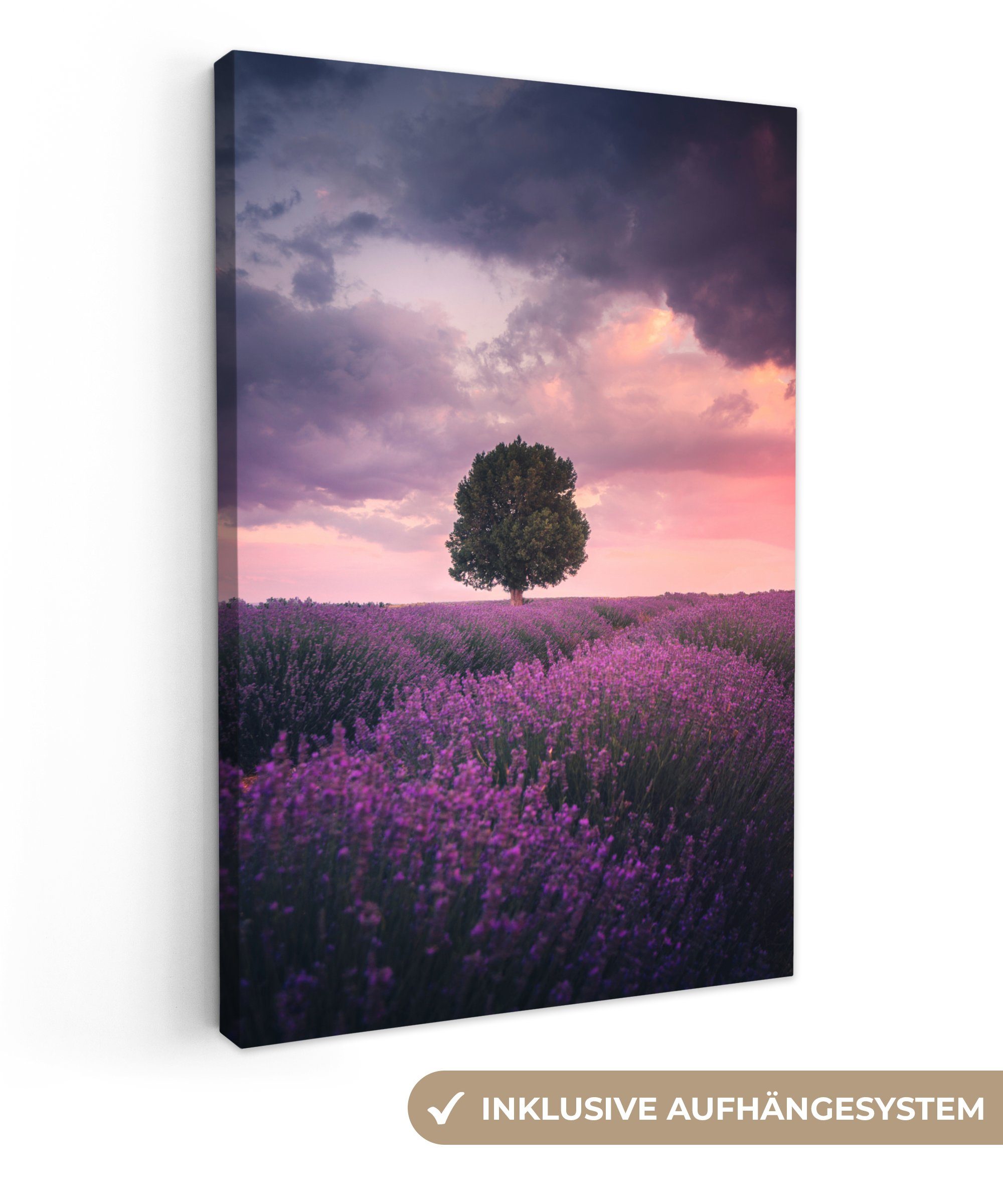 OneMillionCanvasses® Leinwandbild Lavendel - Blumen - Lila - Baum - Natur, günstig online kaufen