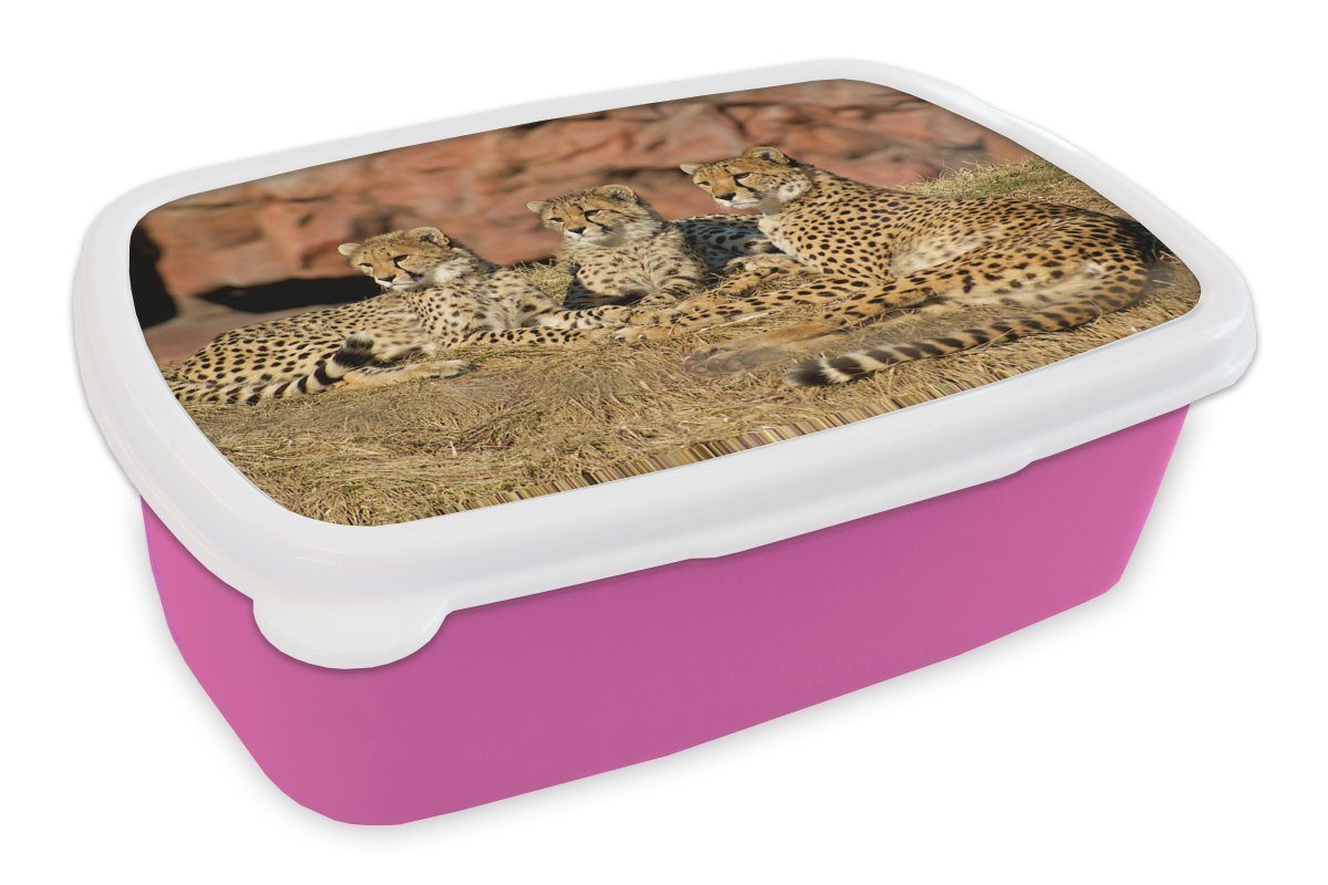 MuchoWow Lunchbox Gepardenmutter und rosa (2-tlg), Brotdose Kinder, Erwachsene, Snackbox, Kunststoff, Kunststoff Brotbox Mädchen, -junge, für