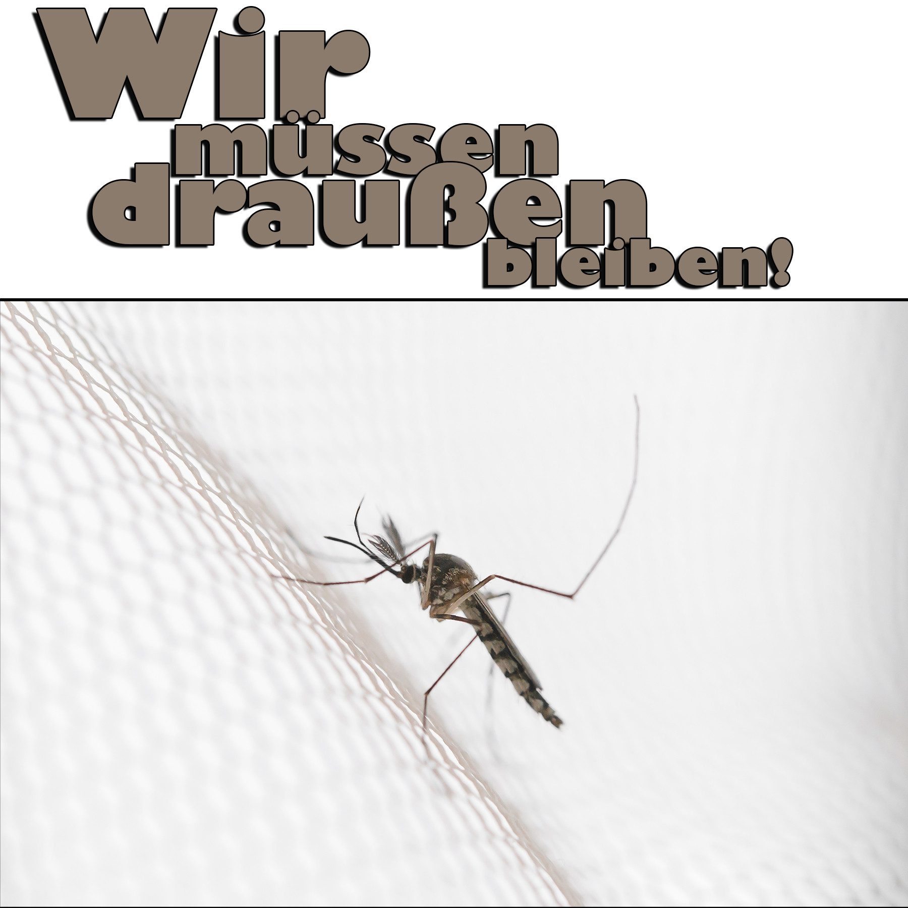 BigDean Moskitonetz Moskitonetz für unterwegs & zu Hause (Packung, 1 St., Insektennetz), Effektiver Insektenschutz, XL Betten Insektennetz