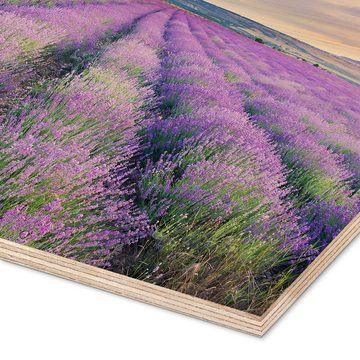 Posterlounge Holzbild Editors Choice, Lavendel im Sonnenuntergang, Mediterran Fotografie