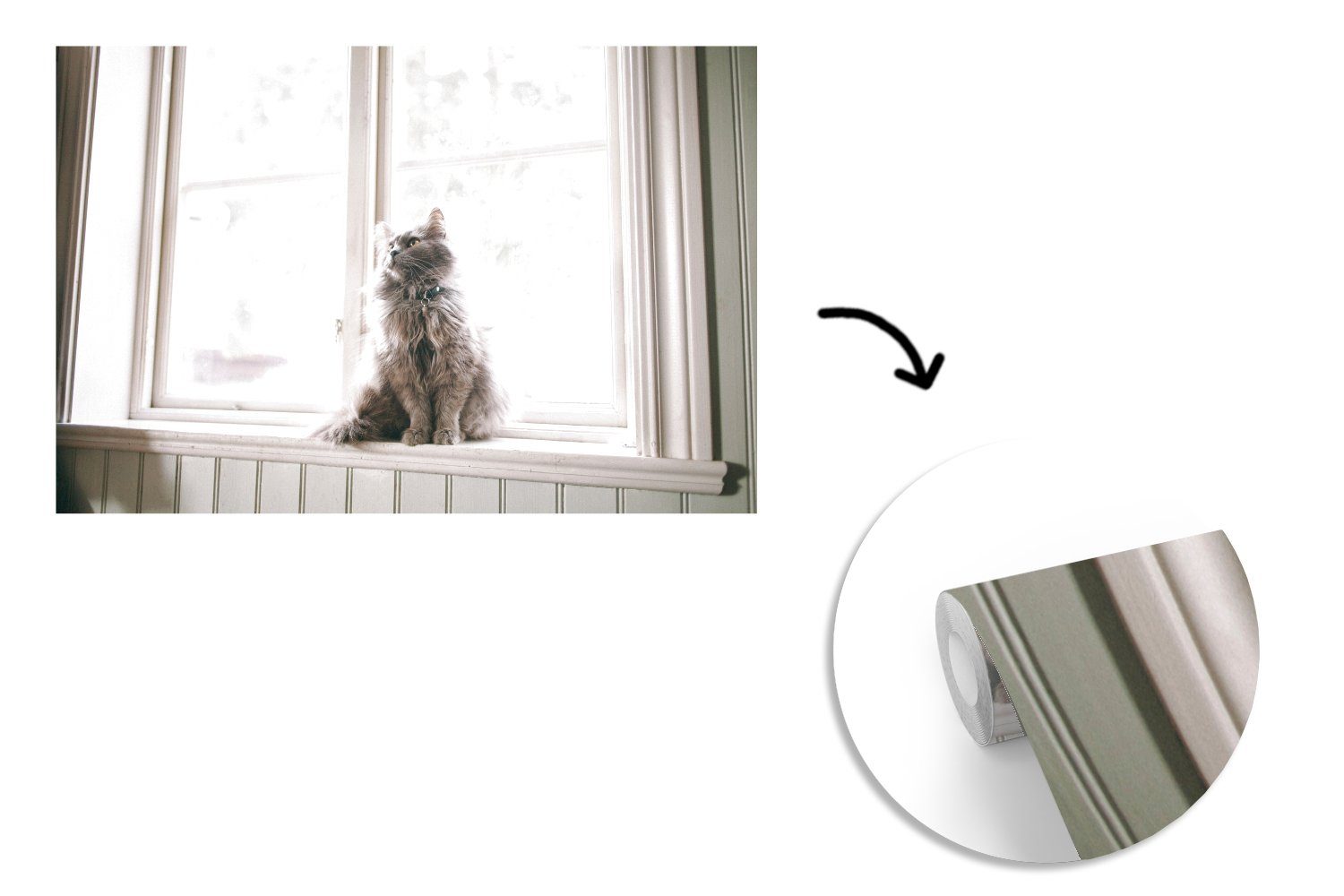 Tapete Fensterbank, (6 MuchoWow Matt, Vinyl St), Kinderzimmer, bedruckt, für sitzt Maine Coon der Schlafzimmer, Fototapete Wallpaper Wohnzimmer, Cat auf