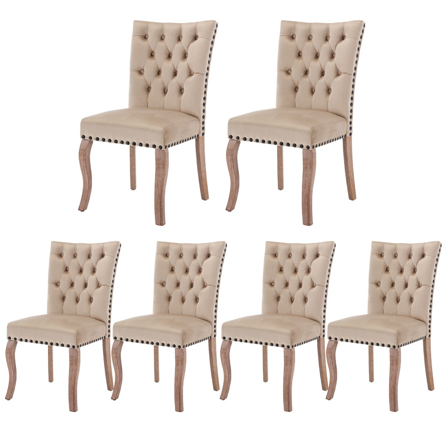 Flieks Esszimmerstuhl (Set, 6 St), 6er Set Polsterstühle Küchenstühle Samt günstig online kaufen