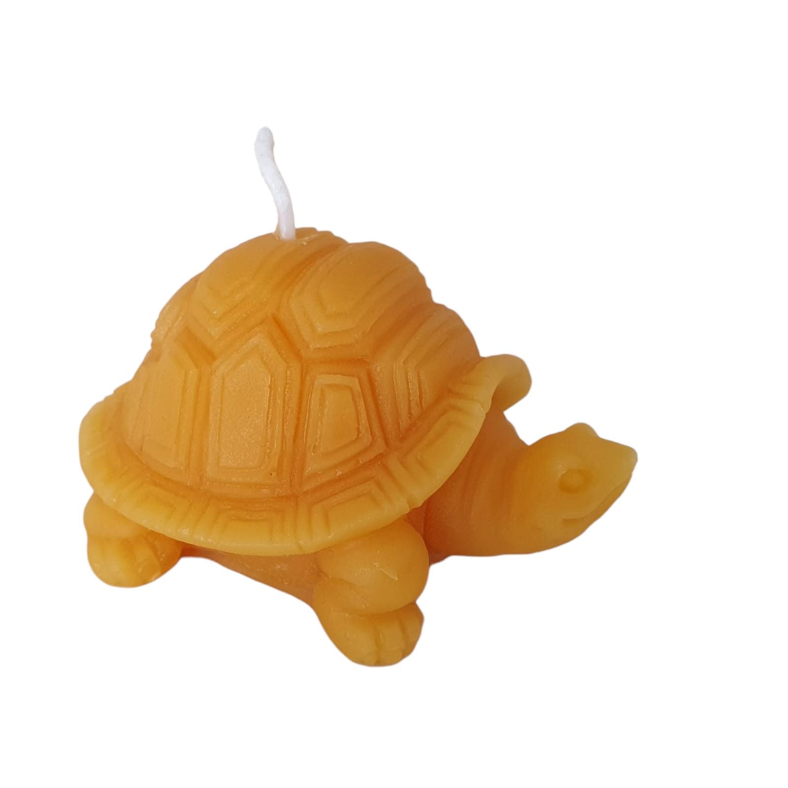 Aspinaworld Bienenwachskerze Schildkröten Kerze 4 cm – Kerze aus Bienenwachs