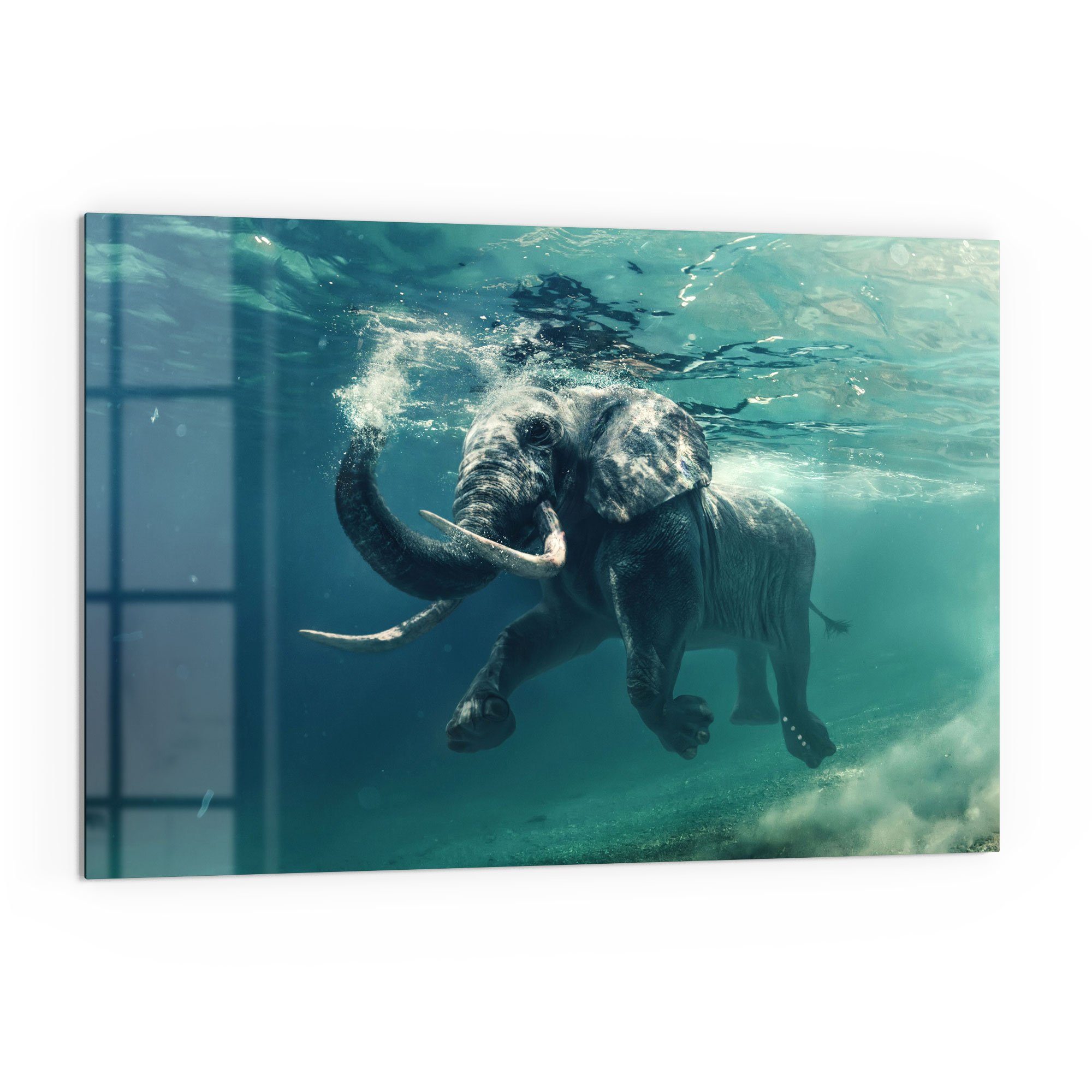 DEQORI Küchenrückwand 'Schwimmender Elefant', Glas Spritzschutz Badrückwand Herdblende