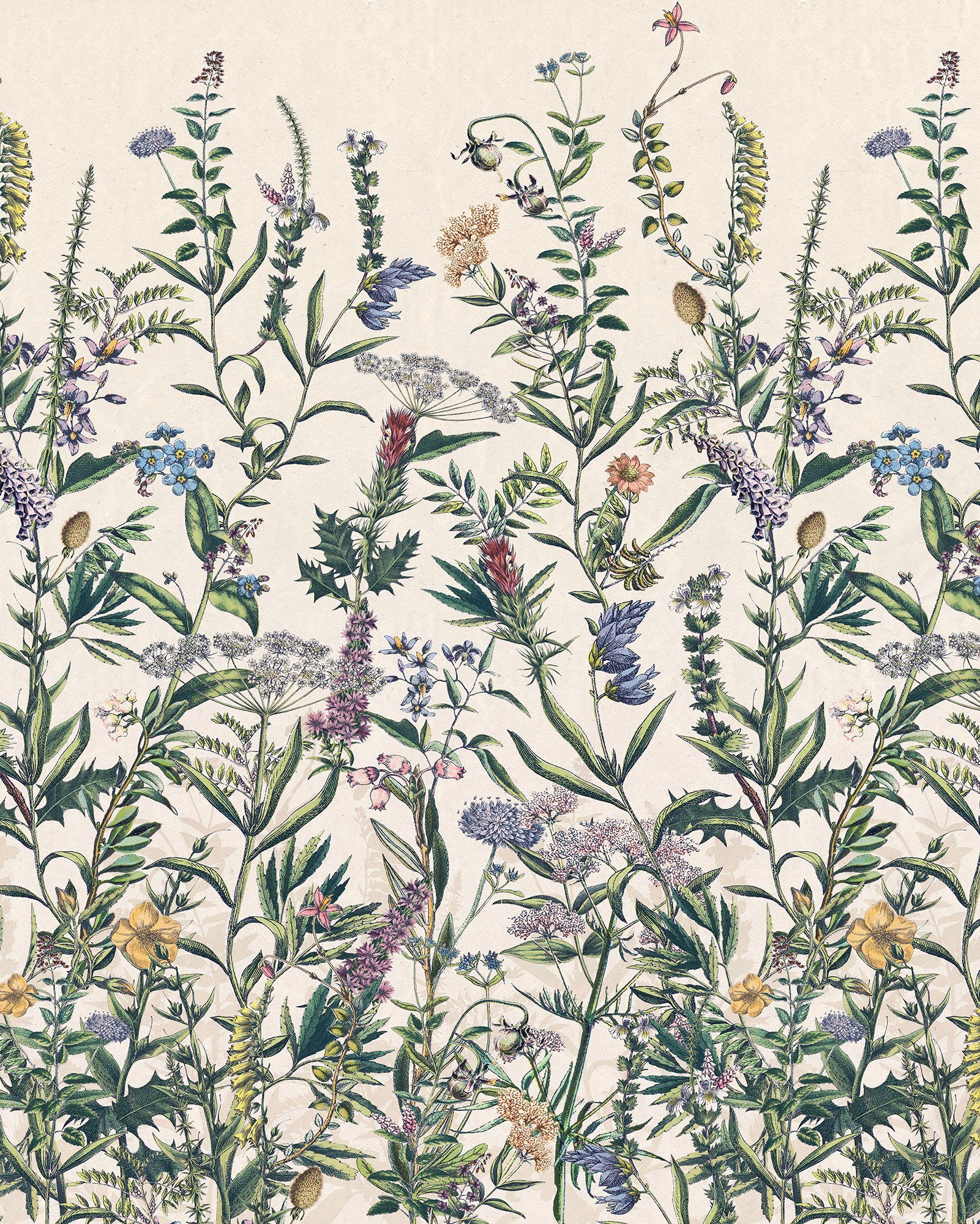 Komar Vliestapete Digitaldruck Vlies - Flowering Herbs - Größe 200 x 250 cm, glatt, bedruckt, Wohnzimmer, Schlafzimmer