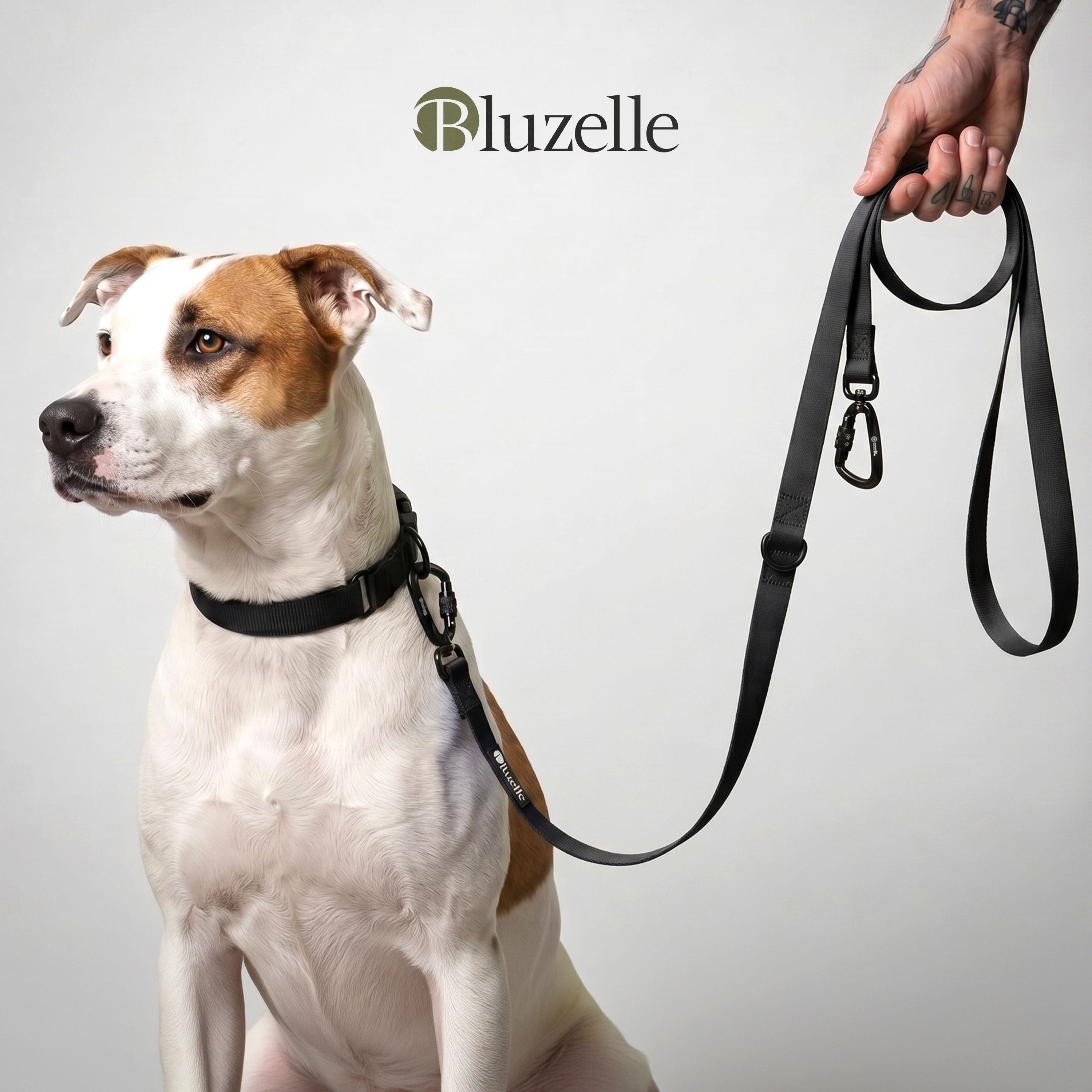 Bluzelle Führleine, Starke PVC Leine, 2 Große Aluminium Karabiner, Umhängeleine Freihändig, Hundeleine 3m Verstellbar Wasserdicht Umhängen, Mittlere & Große Hunde