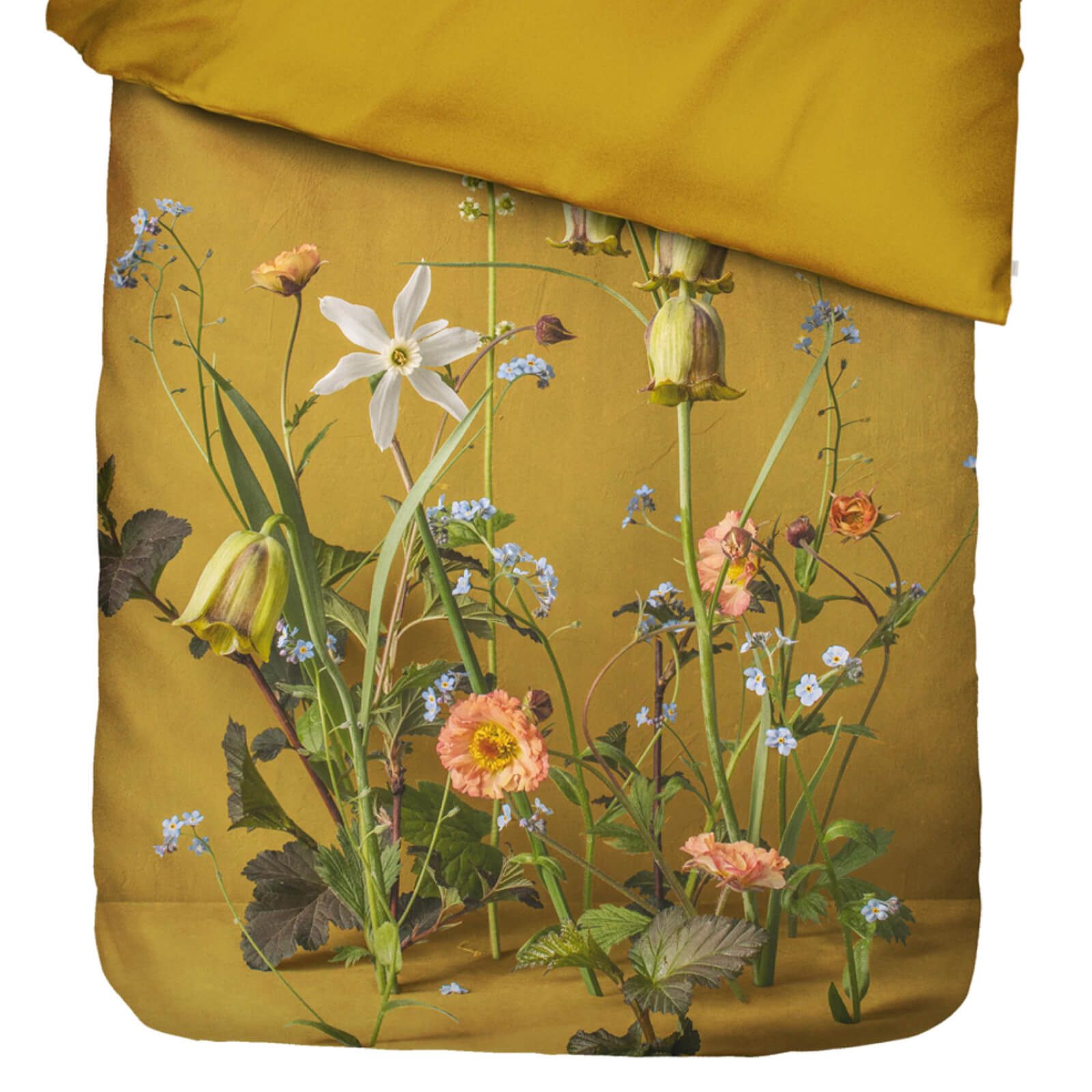 Essenza Bettwäsche Ficaria Flower Ochre Satin, Satin, 2 teilig, Narzissen, Floral, Geblümt