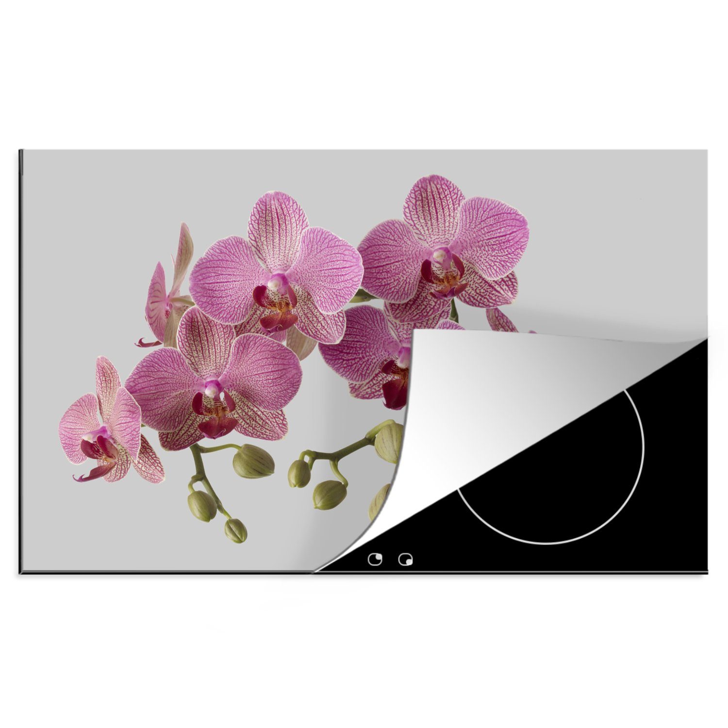 MuchoWow Hintergrund, für küche, 81x52 (1 Orchideen tlg), grauem Herdblende-/Abdeckplatte Vinyl, Induktionskochfeld cm, die auf Schutz Ceranfeldabdeckung