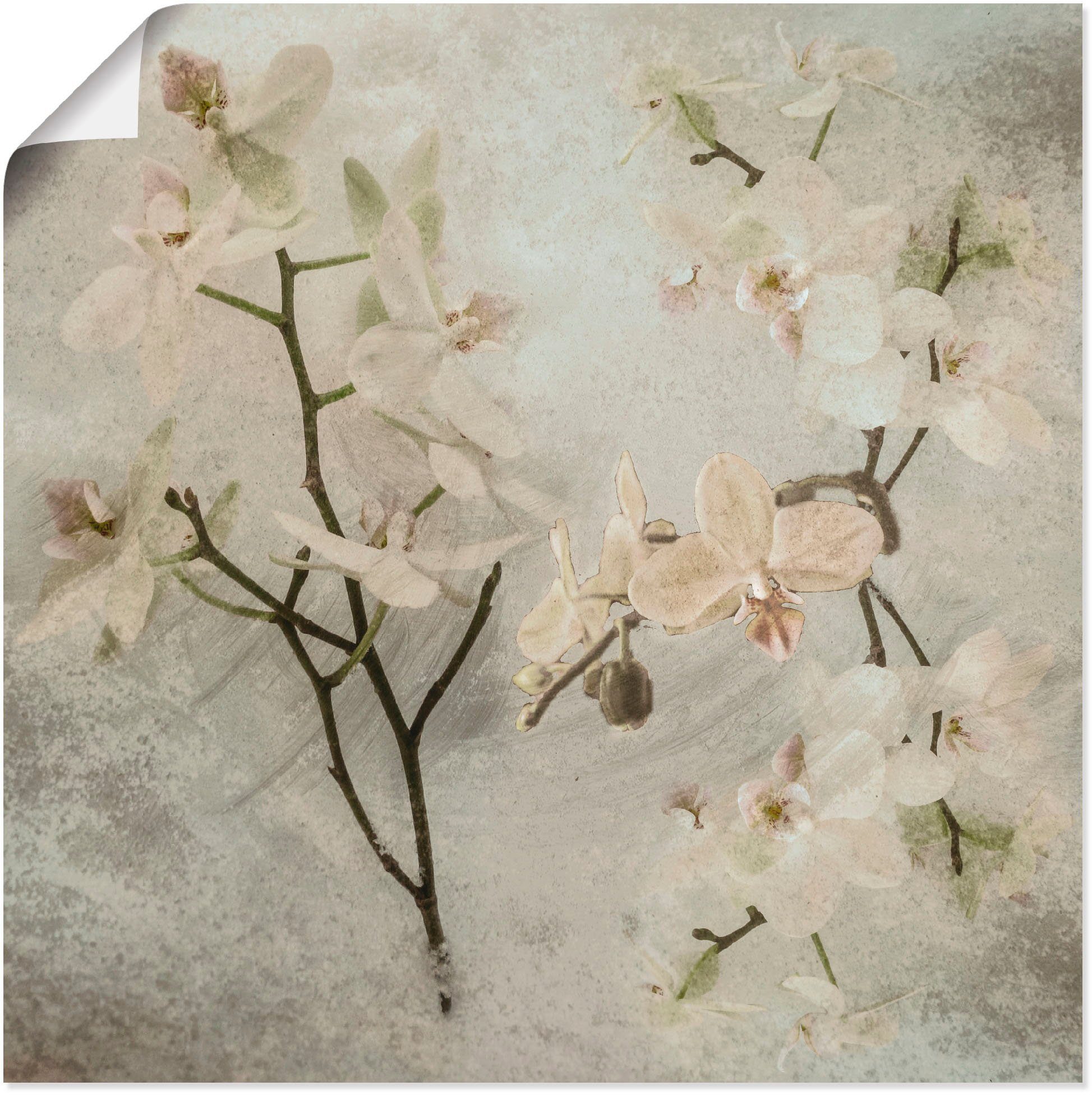 oder Poster St), als Artland Größen in (1 Wandaufkleber Leinwandbild, Wandbild Orchideen, versch. Blumen
