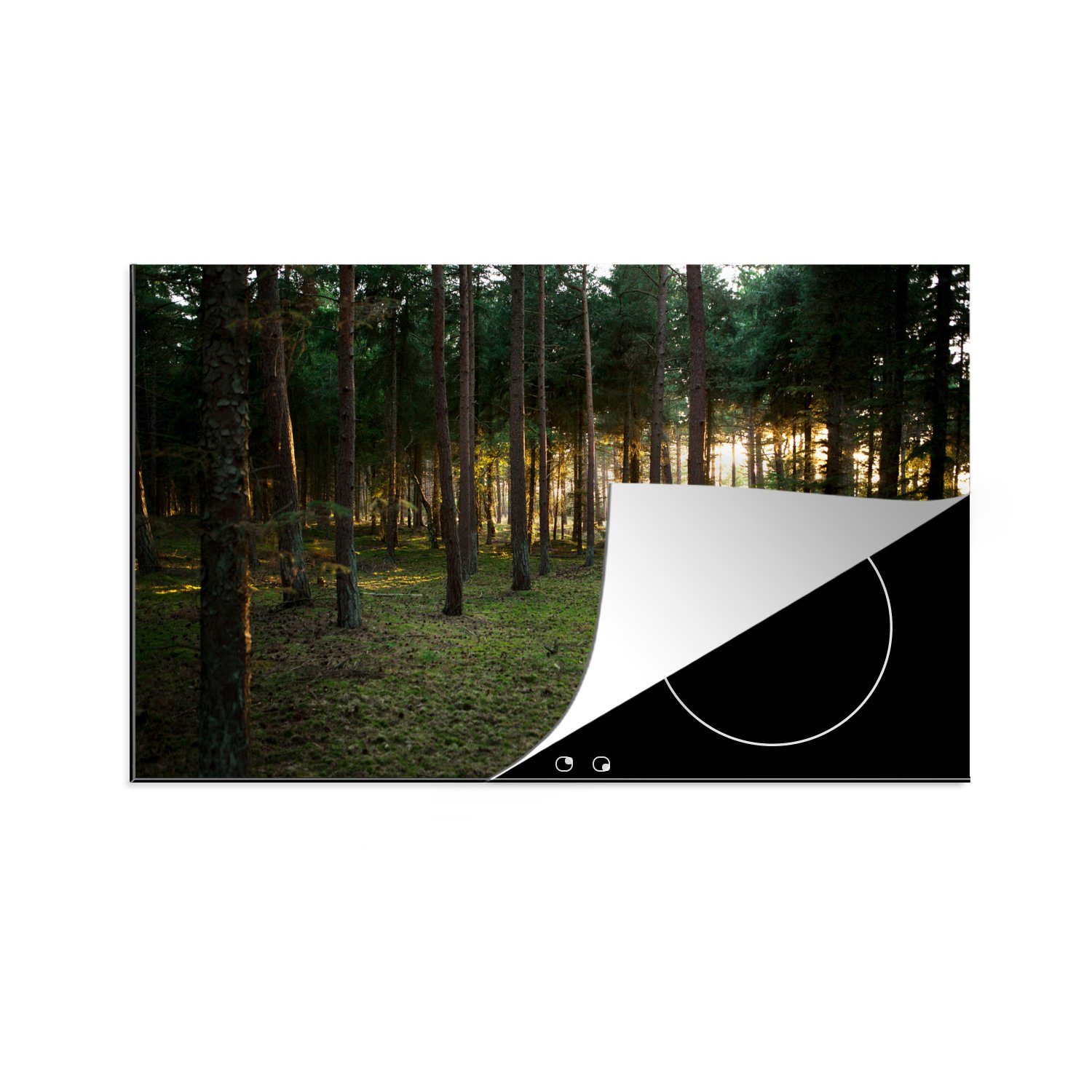 MuchoWow Herdblende-/Abdeckplatte Baum - Sonne - Gras, Vinyl, (1 tlg), 81x52 cm, Induktionskochfeld Schutz für die küche, Ceranfeldabdeckung