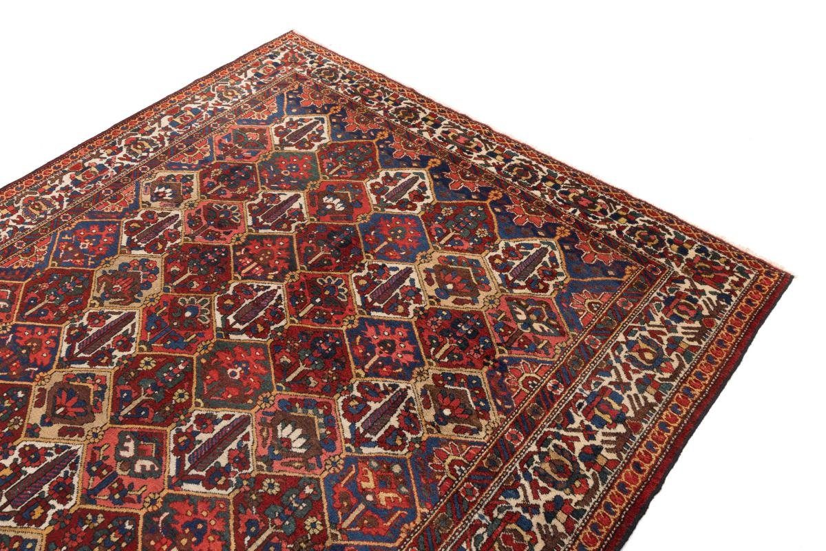 Orientteppich Bakhtiar 215x315 Handgeknüpfter Orientteppich rechteckig, Höhe: Perserteppich, Nain mm / 12 Trading