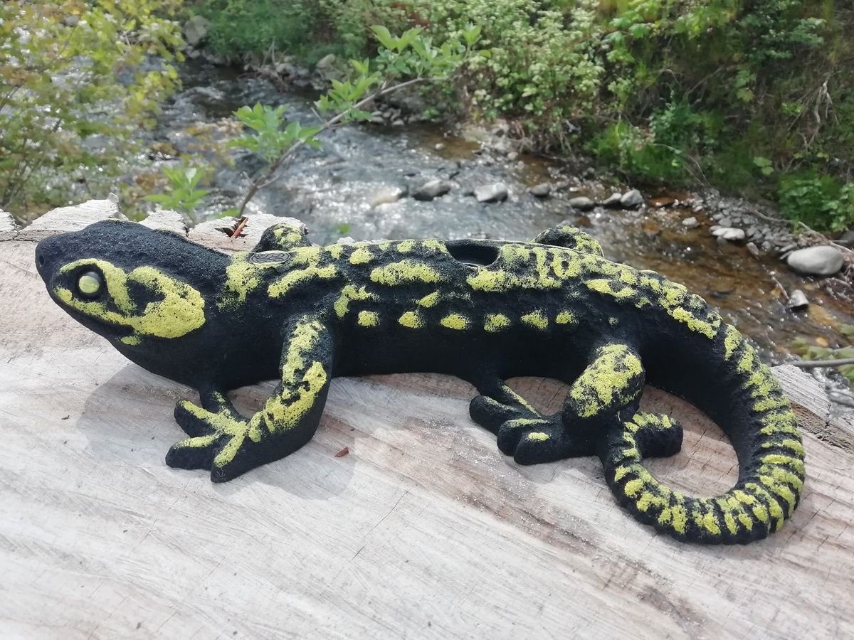 Klettergriff Tierklettergriff schwarz-gelb Kletterwand KS XXL, Klettergriffe Salamander