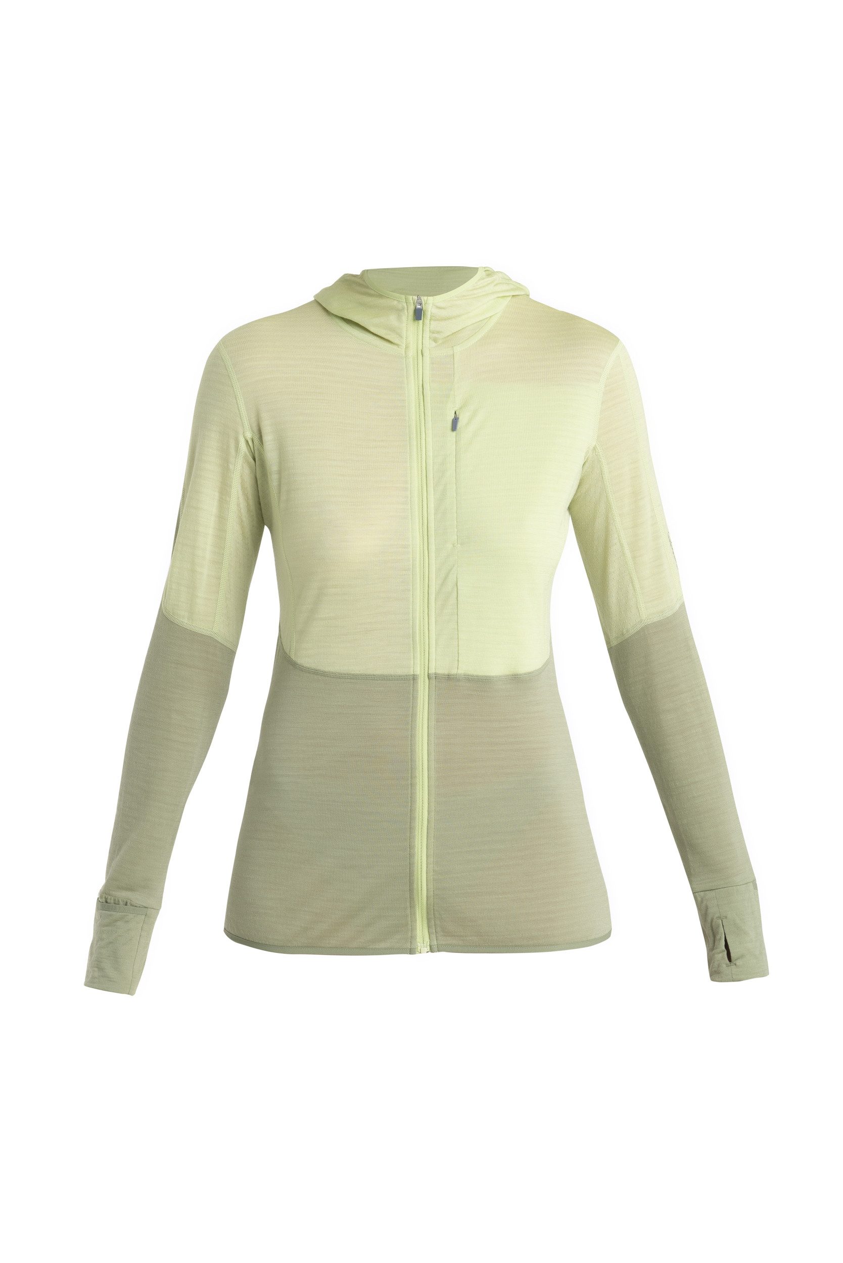 Icebreaker Kapuzensweatjacke Women Merino 200 Realfleece™ Descen