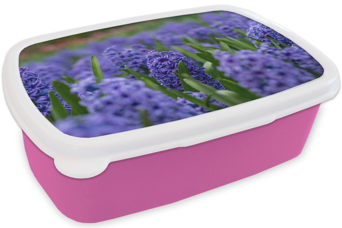 Mädchen, Kunststoff Blumen Brotbox Snackbox, Hyazinthe Kinder, - Erwachsene, Lila, - Kunststoff, Brotdose rosa (2-tlg), MuchoWow Lunchbox für