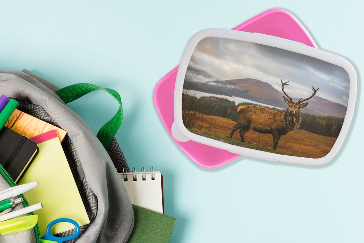 - - Snackbox, Hirsche Kunststoff, MuchoWow (2-tlg), rosa Lunchbox Wasser Landschaft - Erwachsene, Kinder, Bäume, - Berge Tiere Brotbox - Brotdose für Mädchen, Kunststoff