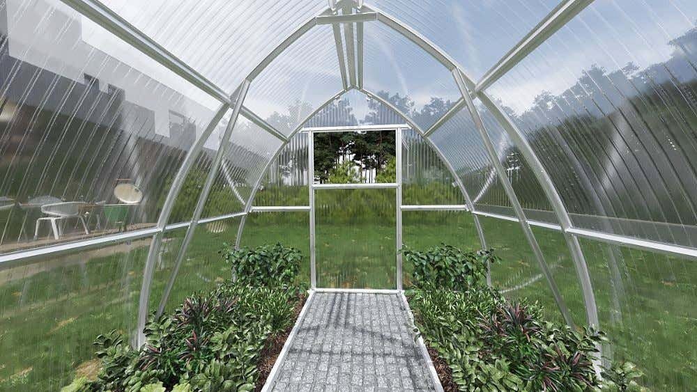 Terrando Gewächshaus Viola 3x2m, 4mm |... Terrando Gewächshaus Viola 3x2m, 4mm |...