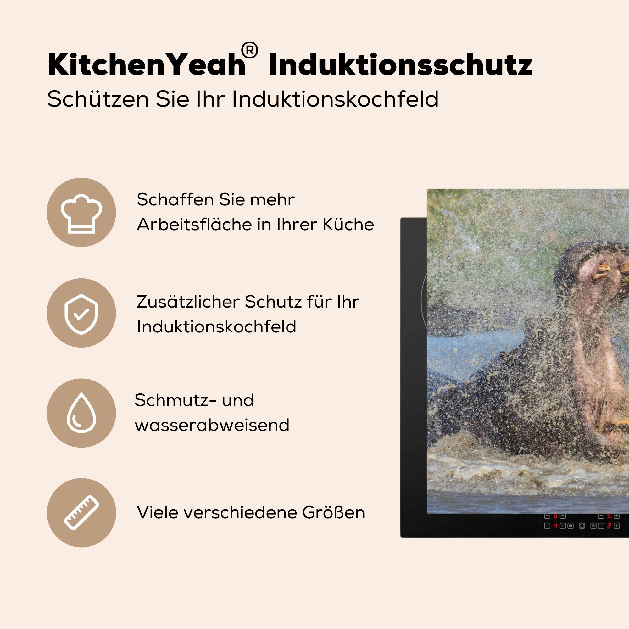 Induktionskochfeld Vinyl, 81x52 (1 küche, die cm, heftigem tlg), MuchoWow für Schutz Kampf, Nilpferd Ceranfeldabdeckung Herdblende-/Abdeckplatte in