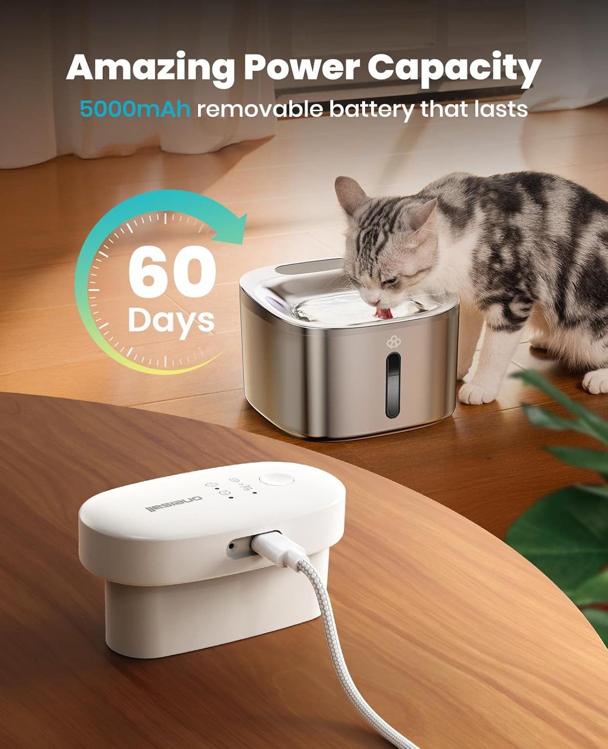 Purpurra Trinkbrunnen oneisall Kabellos, 3.5L Bewegungsmelder 60 Tage Akkusdauer/ 6er Filter