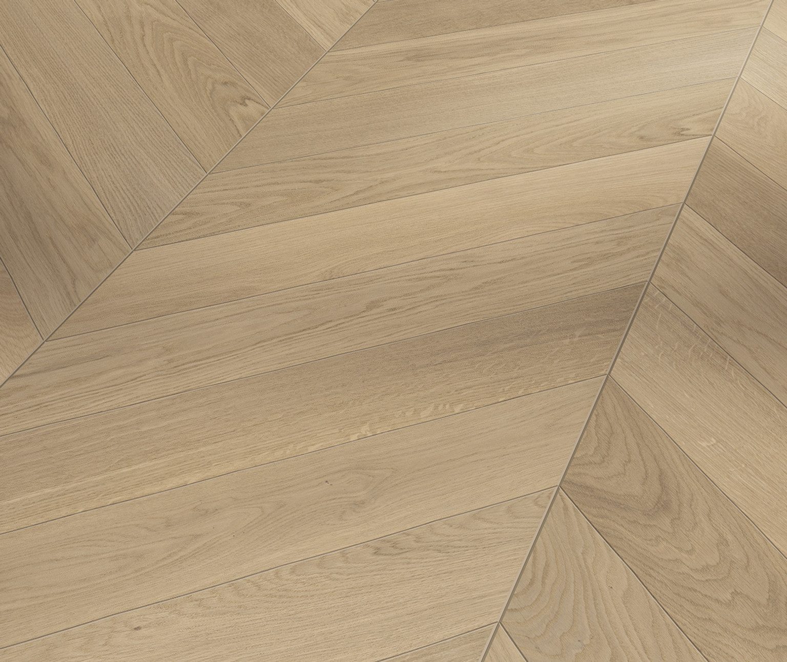 PARADOR Parkett PARADOR Parkett Trendtime 10 Natur Chevron – Chevron/Fischgrät, 15 mm, PARADOR Parkett Trendtime 10 Natur Chevron: Chevron/Fischgrät, 15 mm