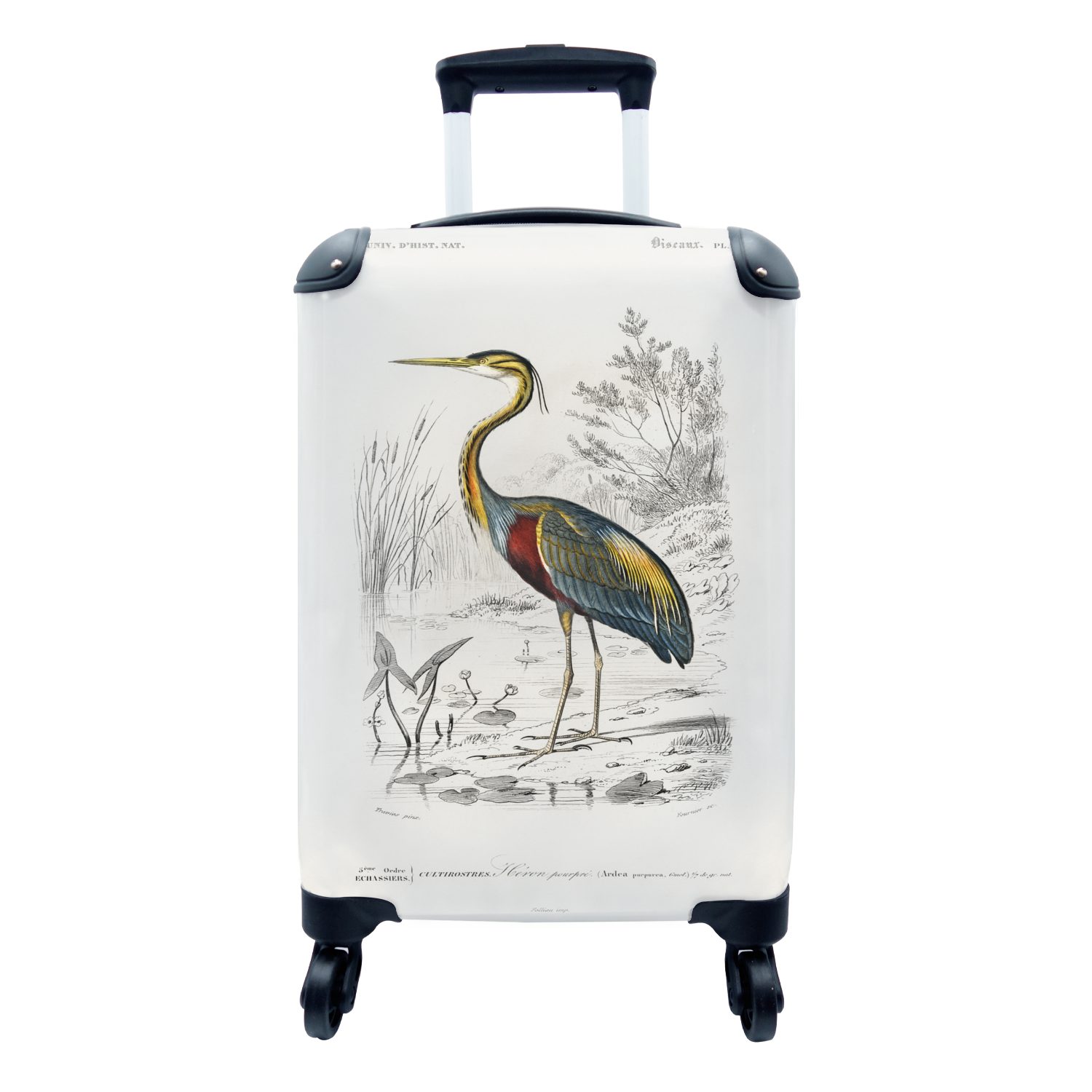 Handgepäck für Reisekoffer Ferien, MuchoWow - Reiher, mit Handgepäckkoffer rollen, Rollen, 4 Vogel Reisetasche - Vintage Trolley,