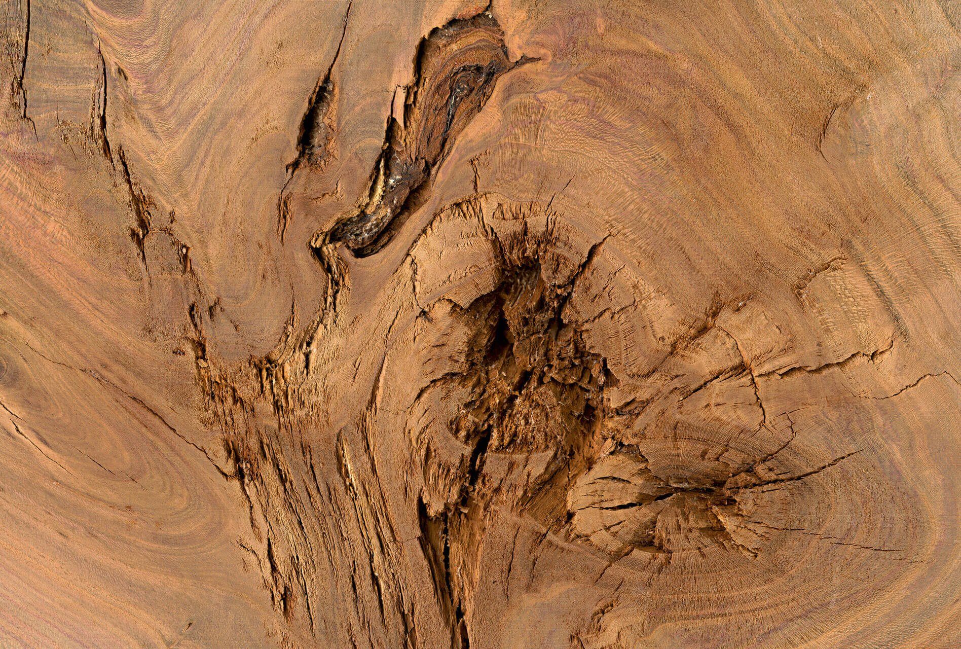 KUNSTLOFT Vliestapete Log of Wood 4x2.7 m, leicht glänzend, lichtbeständige Design Tapete