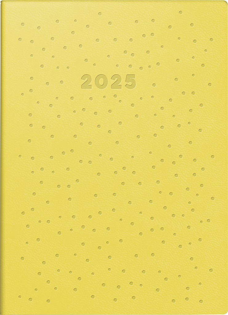 RIDO Taschenkalender 2025 Rido Taschenkalender TechS 10x14 Trend 3
