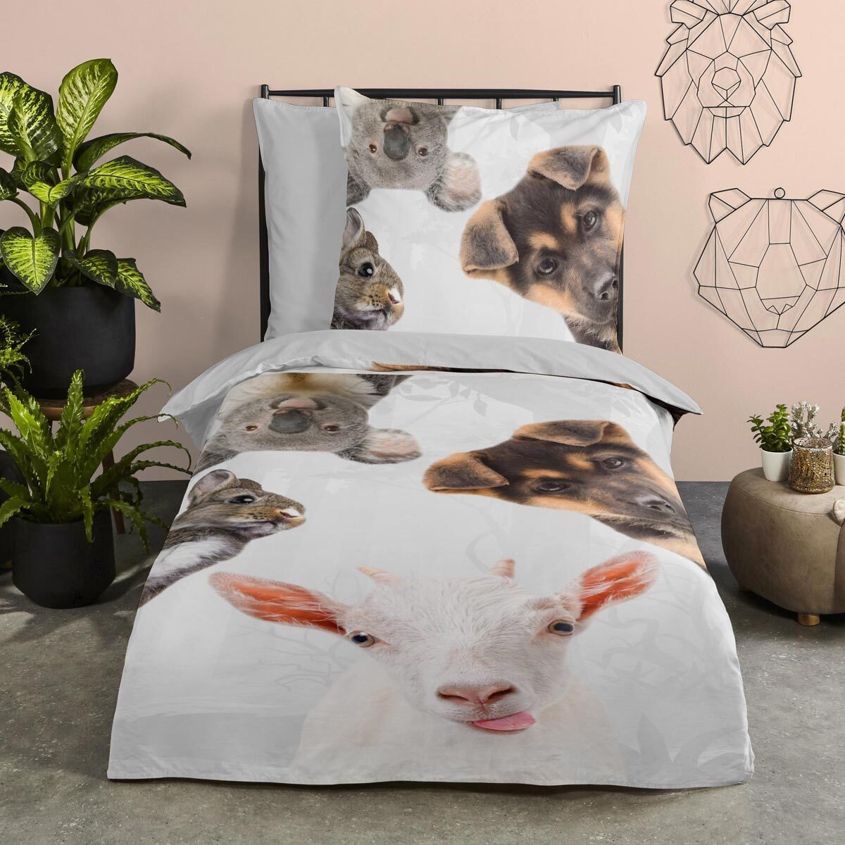 TRAUMSCHLAF Bettwäsche Semmie, Renforce, 2 teilig, aus glatter 100% Baumwol günstig online kaufen