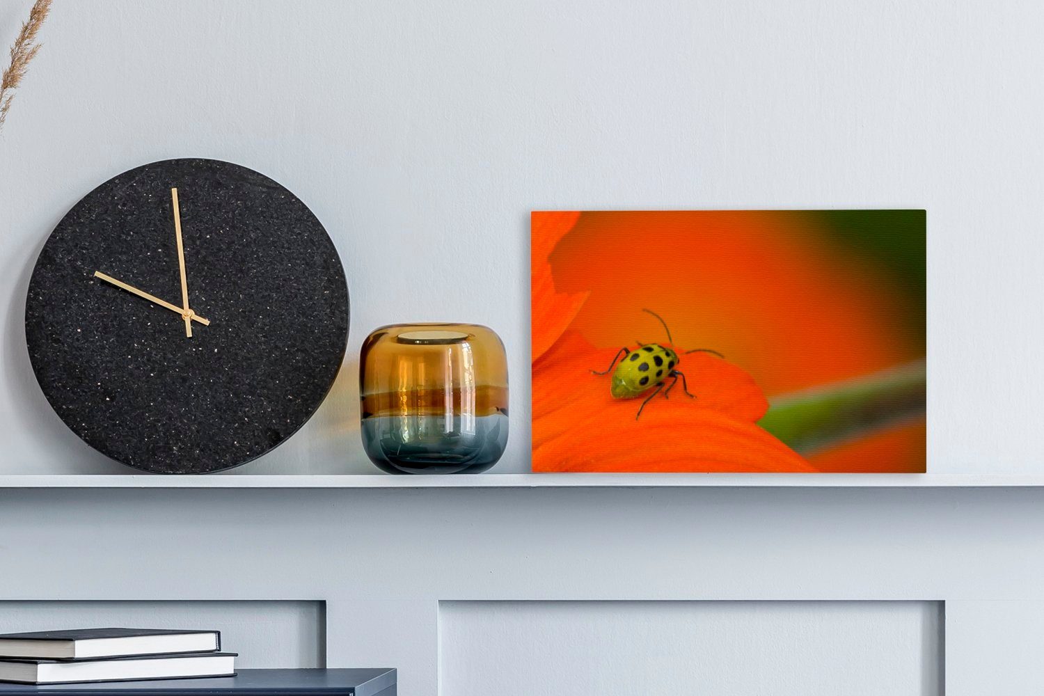 cm Leinwandbild Käfer St), (1 orangefarbener OneMillionCanvasses® Leinwandbilder, Gefleckter 30x20 Blüte, Wandbild auf Aufhängefertig, Wanddeko,
