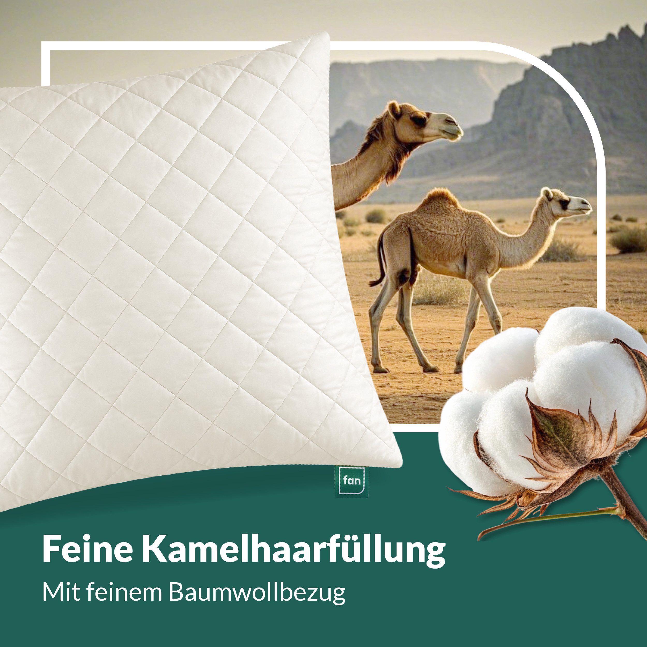 fan Naturfaserkissen Gobi, Kopfkissen in 40x80 & 80x80 cm, Made in Germany, Füllung: 97% Wolle, 3% sonstige Fasern, Bezug: 100% Baumwolle versteppt mit 97% Kame – Bild 4 von 5